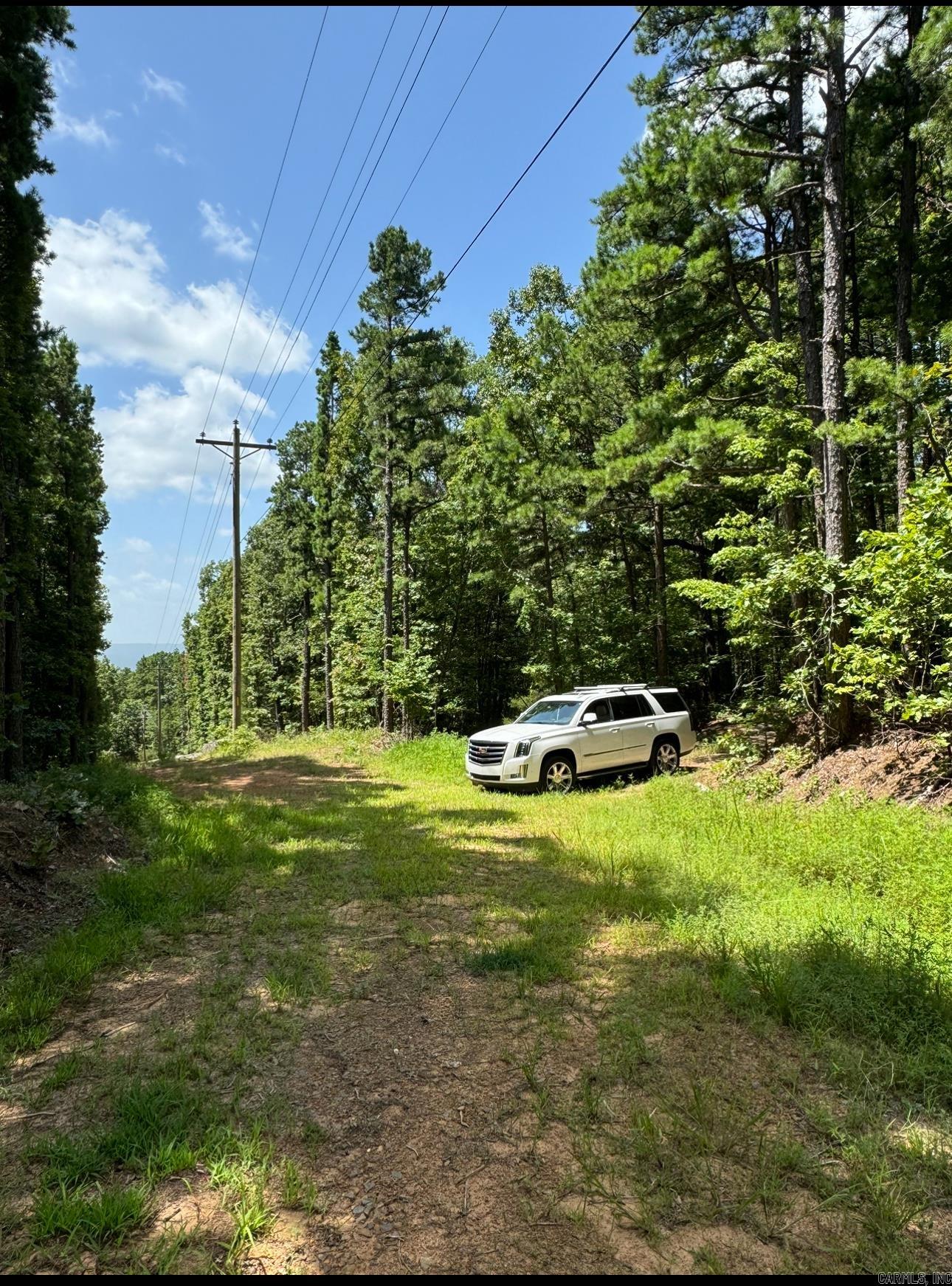 BEAUTIFUL BEAUTIFUL BEAUTIFUL! This Property is pretty incredible! Amazing views & Cleared lot near middle of the property! But, " A Million Dollar View" One could say, just a short walk to the top of the mountain side of the property! Wildlife Galore! Great space to Hunt or build your dream home today!