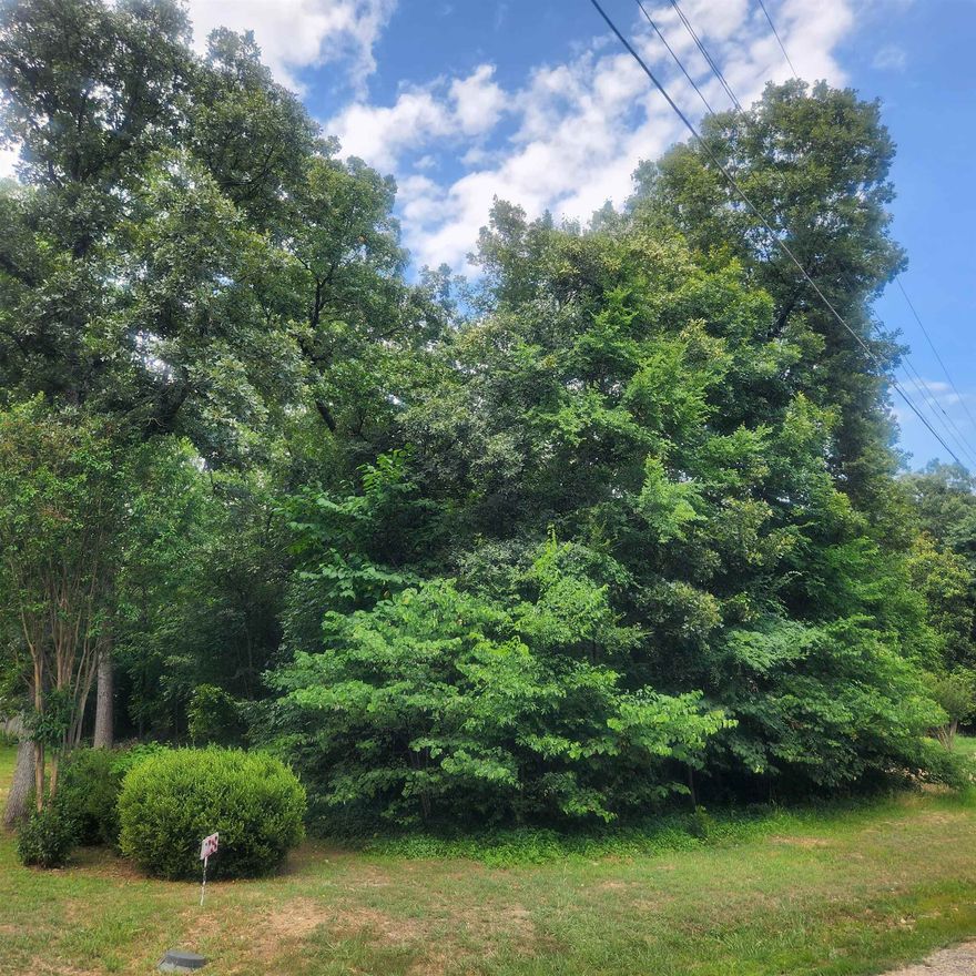 Wonderful and wooded lot in the heart of Cherokee Village. Secluded and away from it all. Buy this lot and pick your spot to build your dream home or just a getaway cabin. With ownership of this lot you have access to all the amenities of Cherokee Village such as the lakes and golf courses and Thunderbird Center and swimming pool, mini golf, parks, hiking trails and don't forget about the beautiful Southfork River.