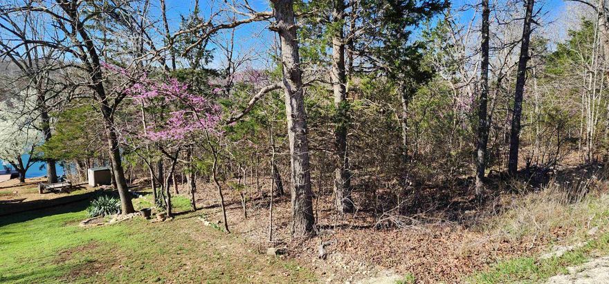 Excellent unimproved lot on Lake Chanute in Cherokee Village! Have your own piece of lake life on one of the beautiful lakes Cherokee Village has to offer!