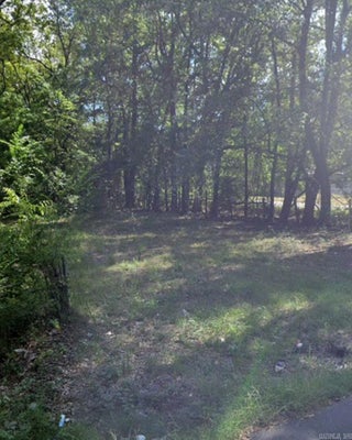 115 S JUNIPER ST, PINE BLUFF, AR 71601 - Image adc8a1db783c220d3dffb45a98531c3c/3656196573