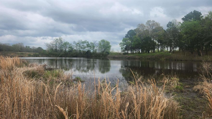 7.52 acres with a 2 acre pond. Fenced all the way around. Power at the road. No restrictions. Minutes to Lake Ouachita.
