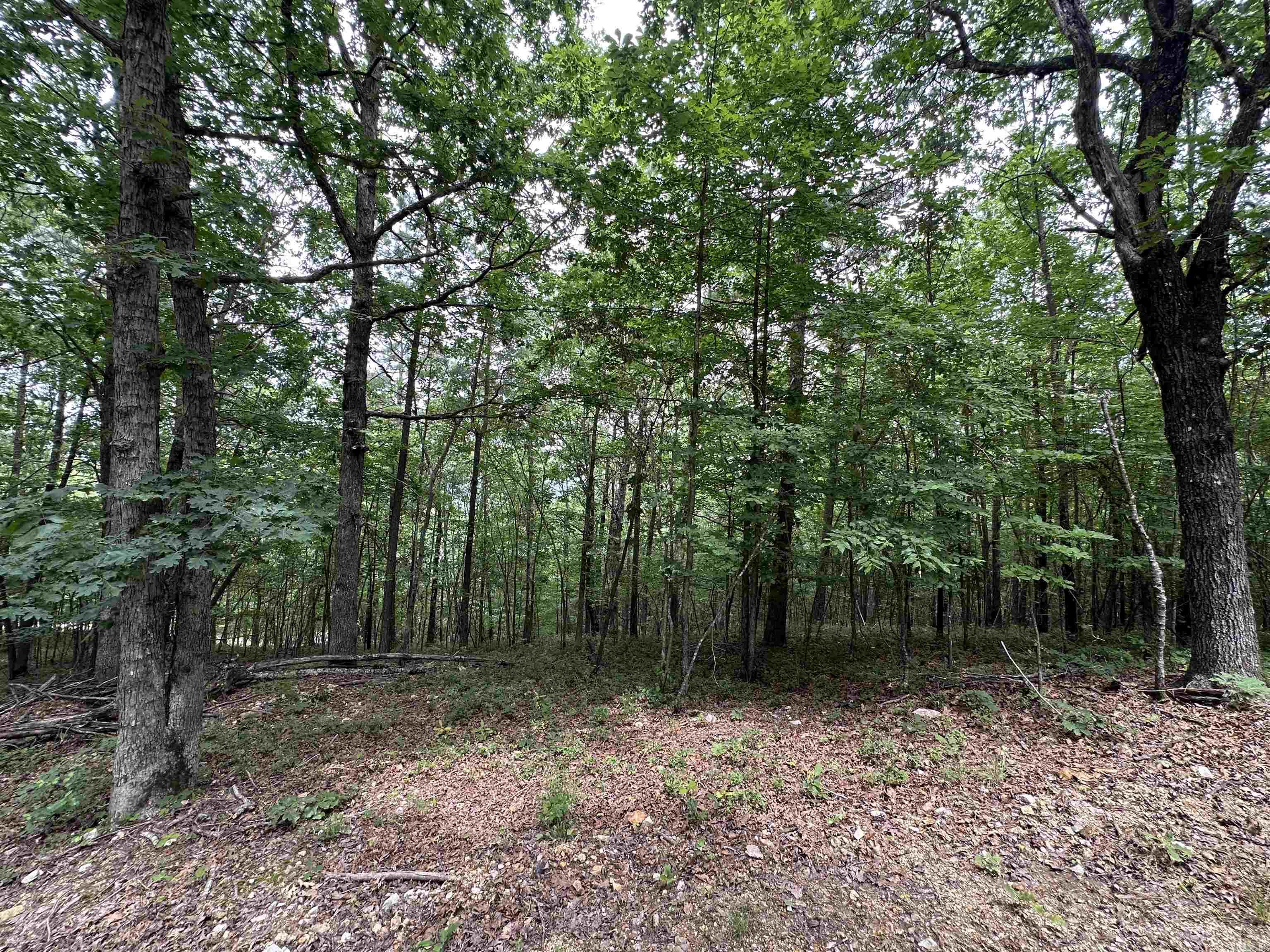 Stunning property on top of the mountain! This is a beautifully wooded tract of land. That’s very secluded yet the electricity is not far from this property. Did I mention seclusion yet it is only a short ride to pavement and into town. There is plenty of wildlife and plenty of room for your own trails to ride the top of the mountain. There are places that are just waiting for a beautiful cabin or home to be built, the serene property is waiting for you and all your plans. This property is down Polk rd 44. It is a short ride in an ATV from this property down to the Wolf pen trailhead to all the other trails. This is a great location, ready for someone with vision!
