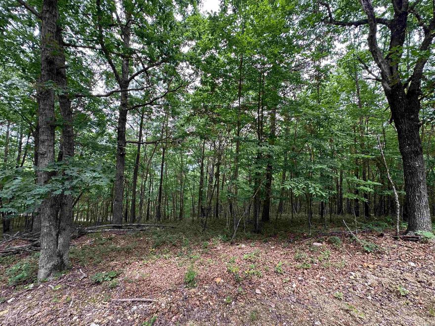 Stunning property on top of the mountain! This is a beautifully wooded tract of land. That’s very secluded yet the electricity is not far from this property. Did I mention seclusion yet it is only a short ride to pavement and into town. There is plenty of wildlife and plenty of room for your own trails to ride the top of the mountain. There are places that are just waiting for a beautiful cabin or home to be built, the serene property is waiting for you and all your plans.  This property is down Polk rd 44. It is a short ride in an ATV from this property down to the Wolf pen trailhead to all the other trails. This is a great location, ready for someone with vision!