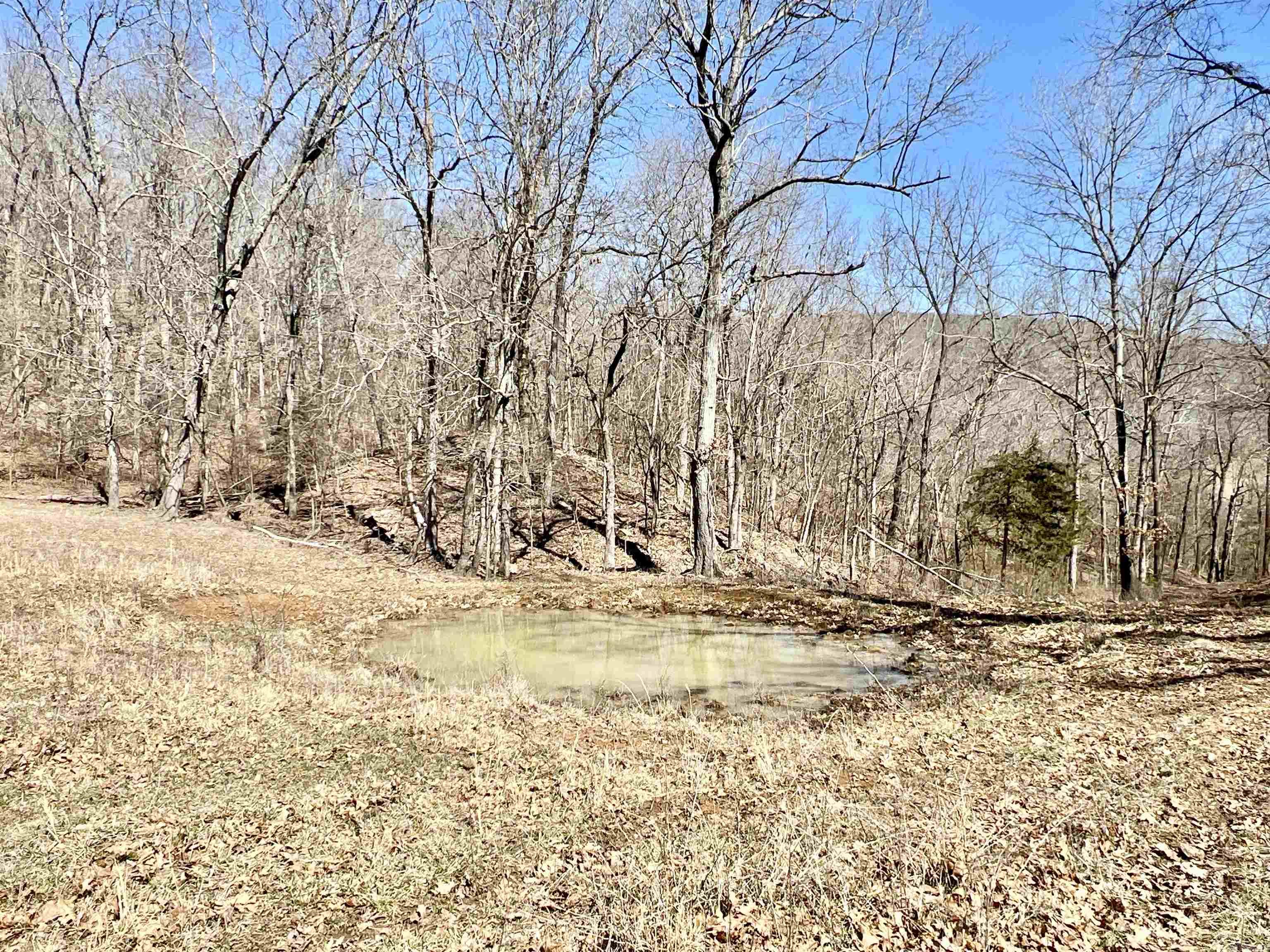 Metes & Bounds - Farm