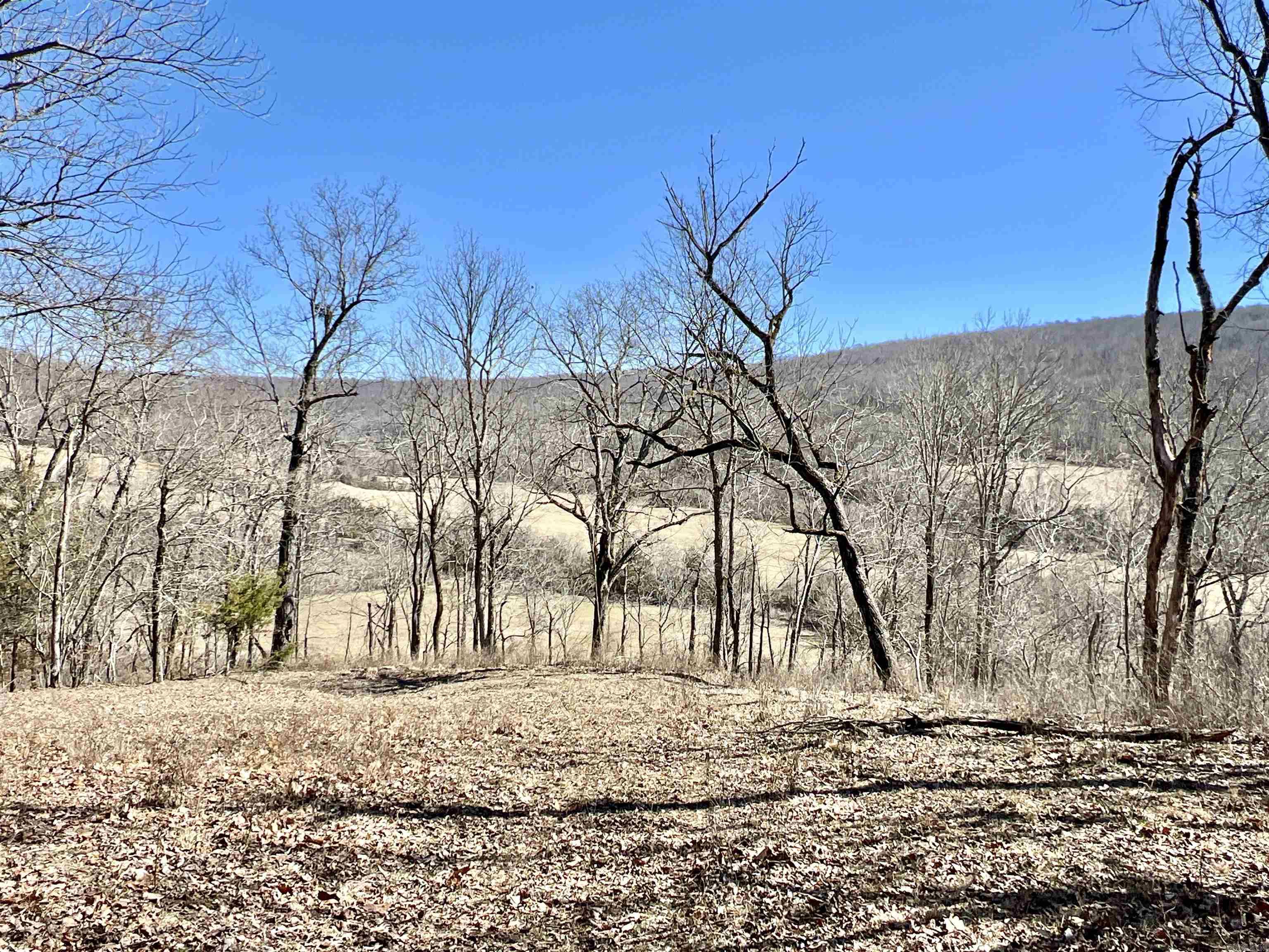 Metes & Bounds - Farm