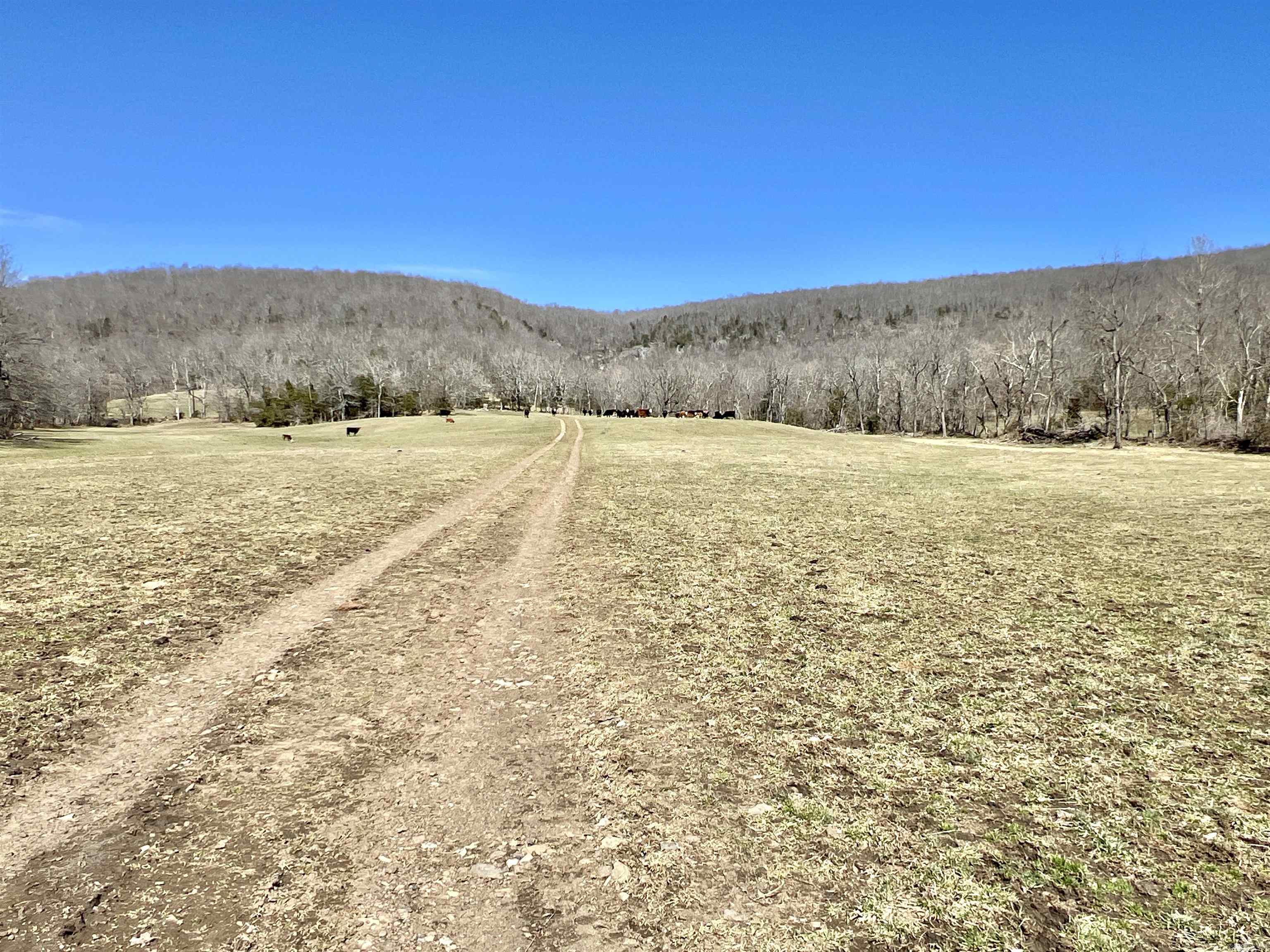 Metes & Bounds - Farm