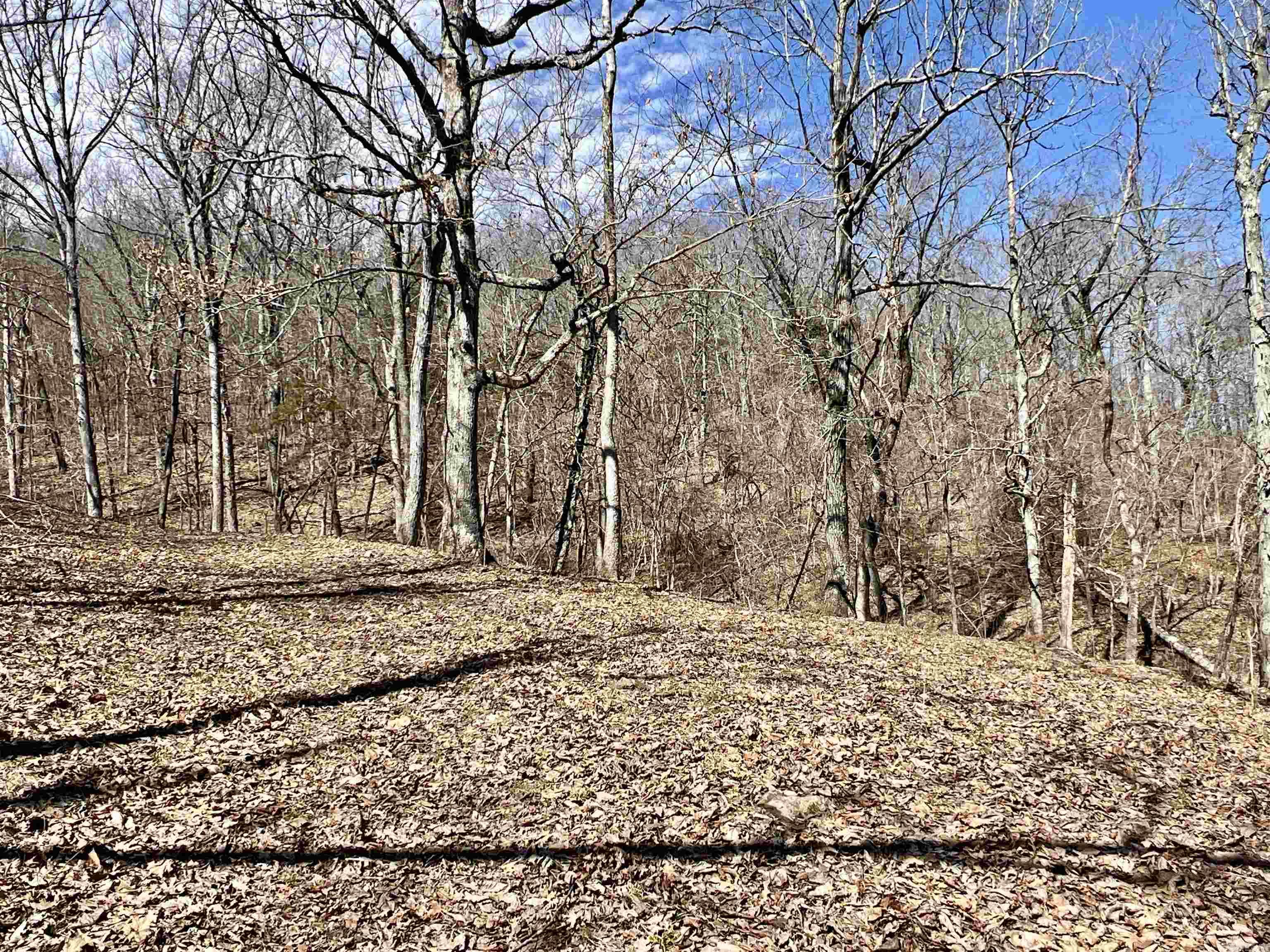 Metes & Bounds - Farm