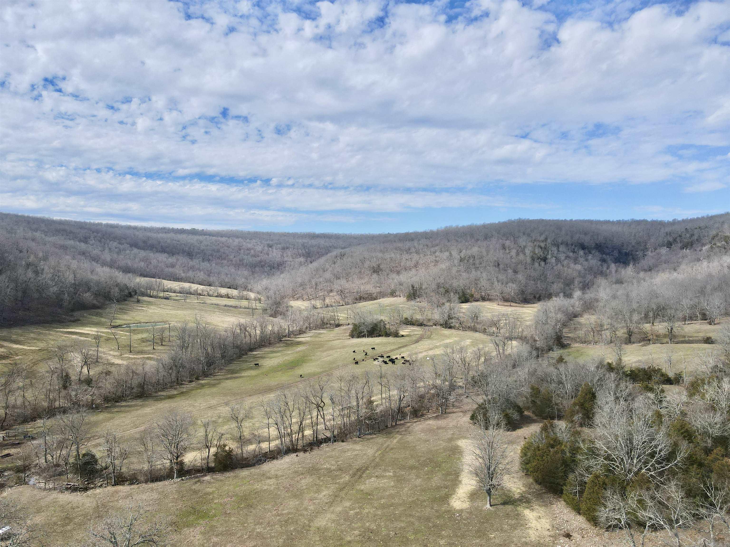 Metes & Bounds - Farm