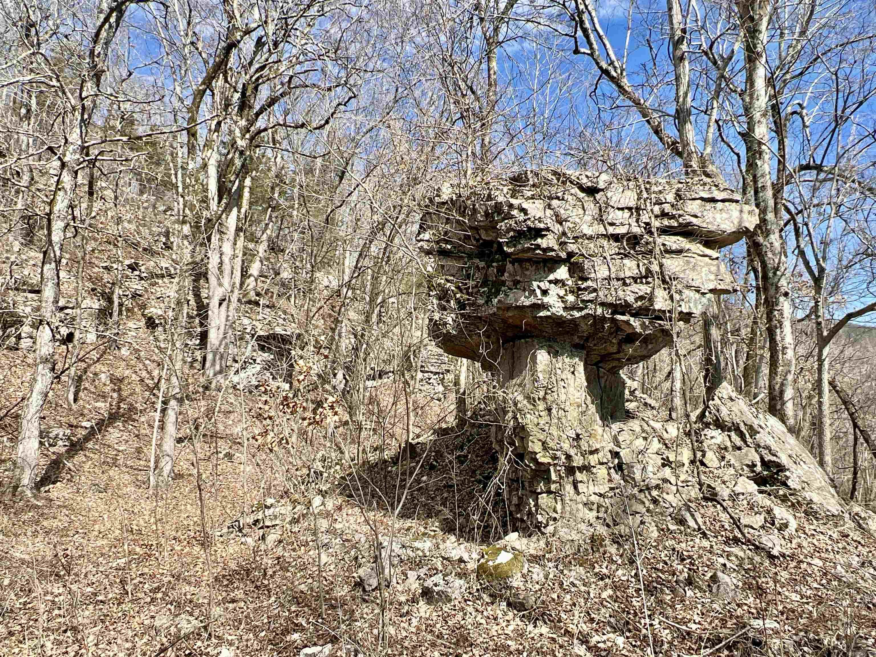 Metes & Bounds - Farm