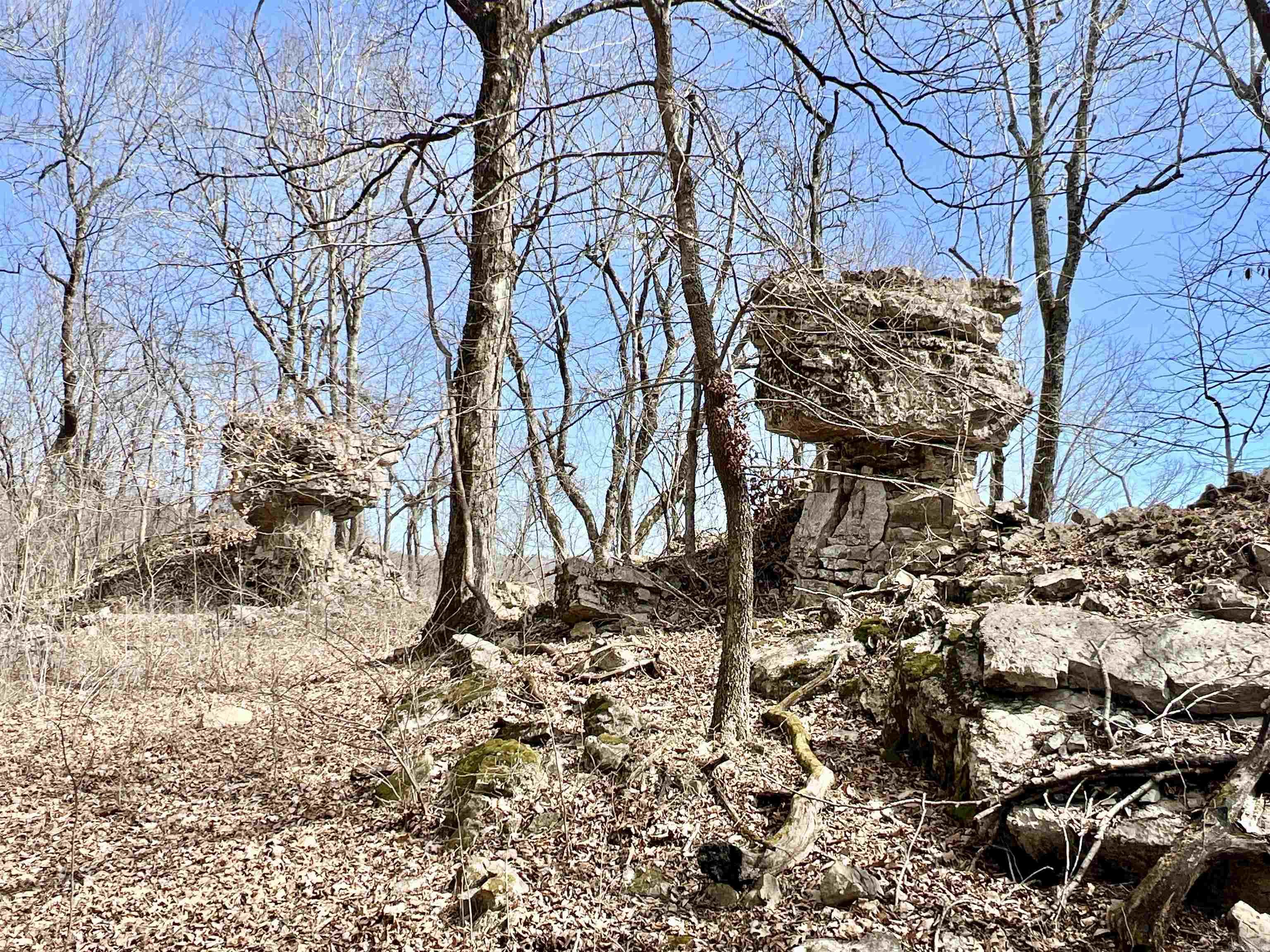 Metes & Bounds - Farm