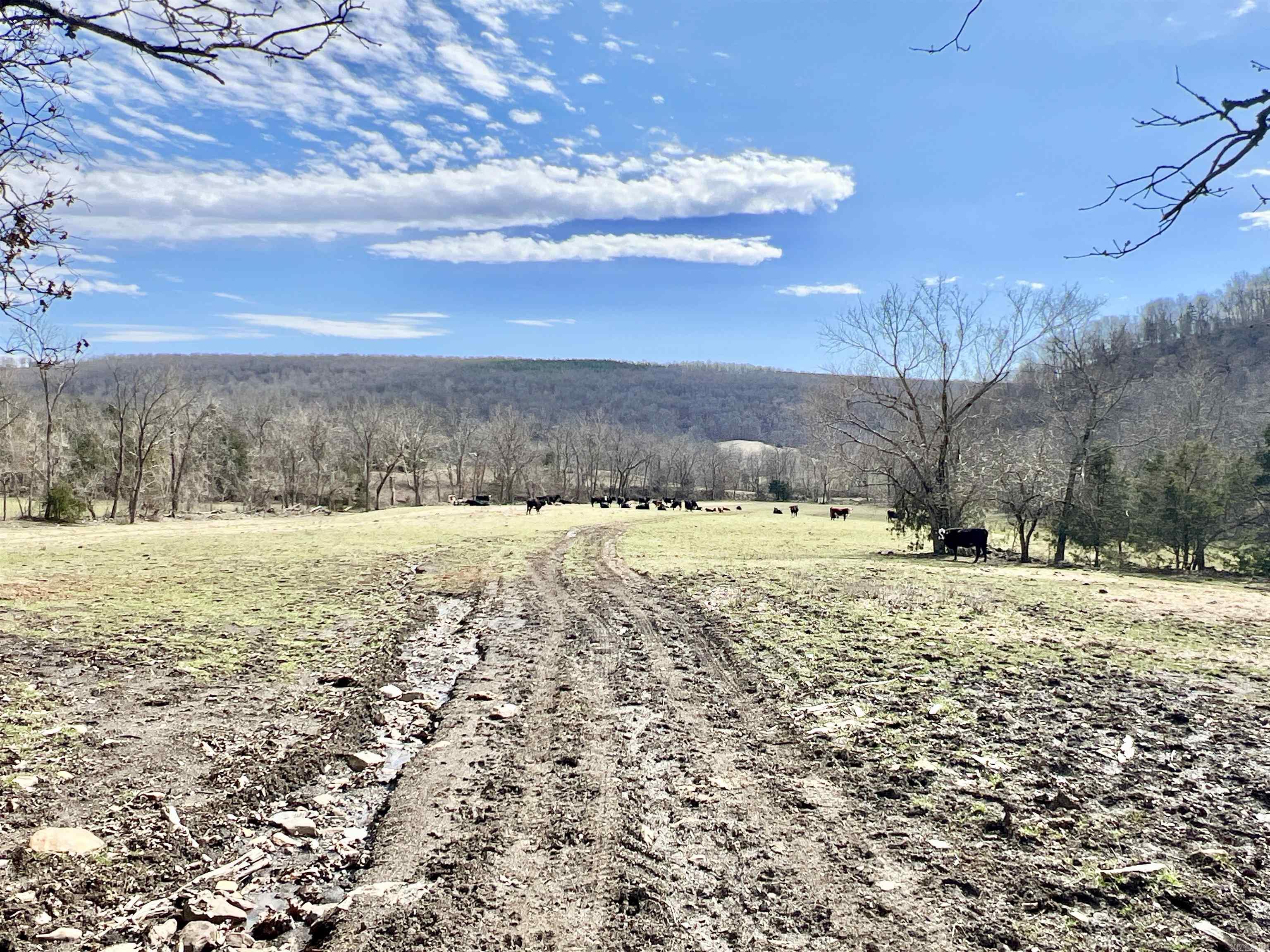 Metes & Bounds - Farm