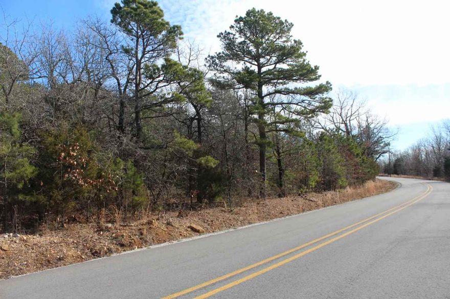 No. 01982  Wooded land with a view.  Paved road frontage with water, power, and DSL available. Just a short 10 minute trip to Mountain View. 109 acres with ½ mile of road frontage.  Great views along the north side.  Approximately 40 acres that is almost level.  An access road along the West side of the property.  Easy access all along the road frontage. This property could lend itself to about any use.  No restrictions.  Sold only as a whole parcel at this time.  $272,500