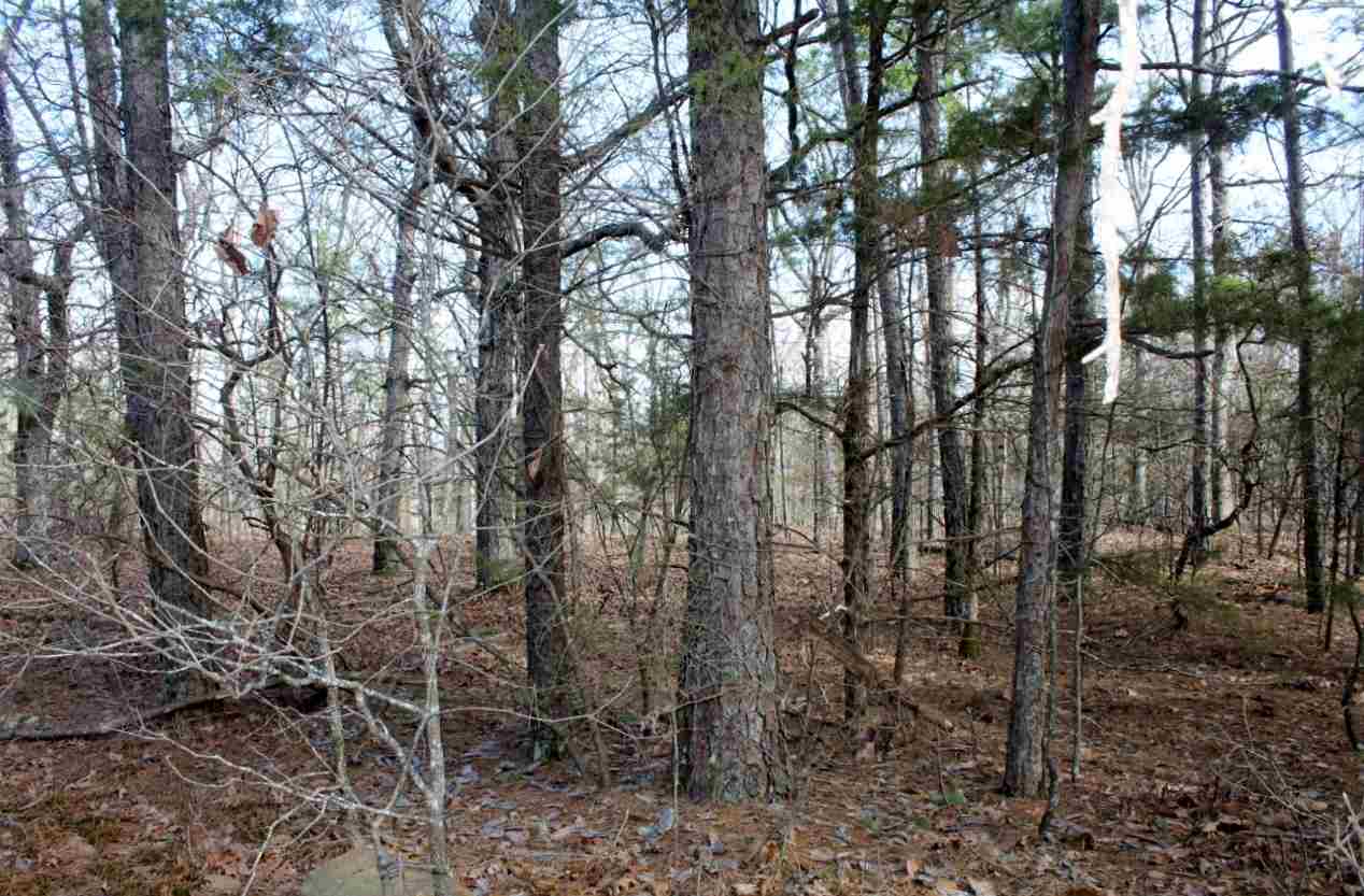 Metes & Bounds - Land