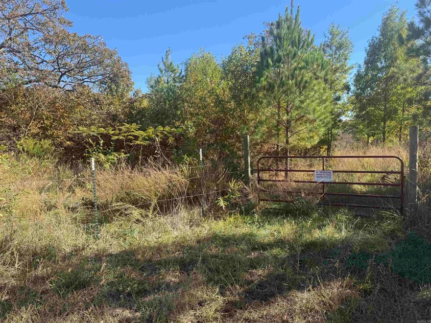 This great little property was once a wonderful homeplace and farm.  After several years it is mostly recreational land with new growth woods.  If cleared would make great pasture or homesite.  Old homesite located near front of property.   Located in the Hickory Flats community