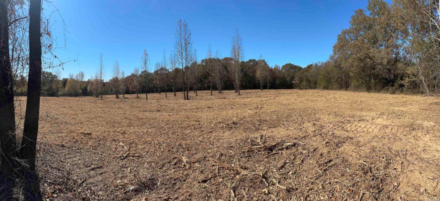 Discover the perfect mix of natural beauty and usability with this stunning 21+ acre property located just minutes from the Little Red River. The owner recently had several acres professionally mulched and cleared, creating ideal spaces for building, recreation, or pasture. Enjoy the quiet of the countryside with the convenience of being just a short drive to fishing, boating, and all the natural attractions that make this area so desirable. A 1-acre outparcel within the boundaries of the property appears to be an older reserved tract, possibly associated with a former public school site. This parcel does not appear in current tax records and is not included in the sale. Buyer should verify boundaries and title to satisfaction.