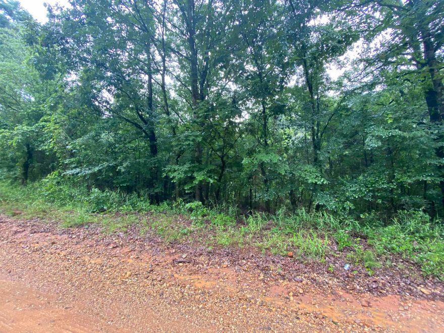 10 acres, located east of Centerpoint.  Great investment opportunity, acreage is on both sides of Bluegrass Road.  Contact our office for more details.