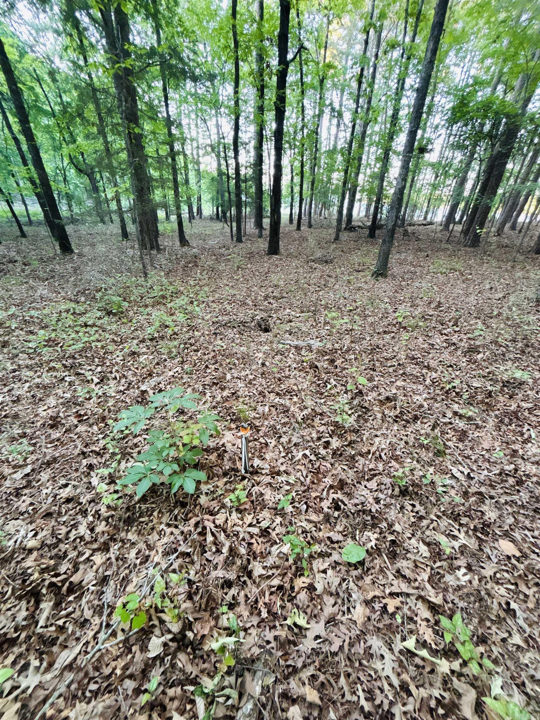 Lakeland Acres - Land
