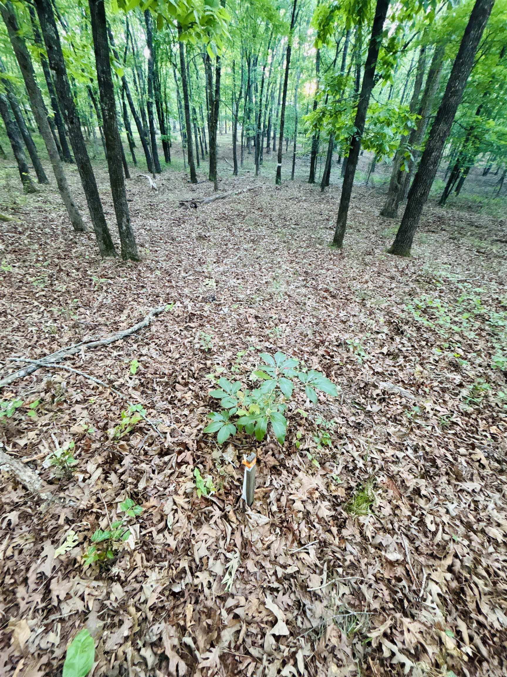 Lakeland Acres - Land
