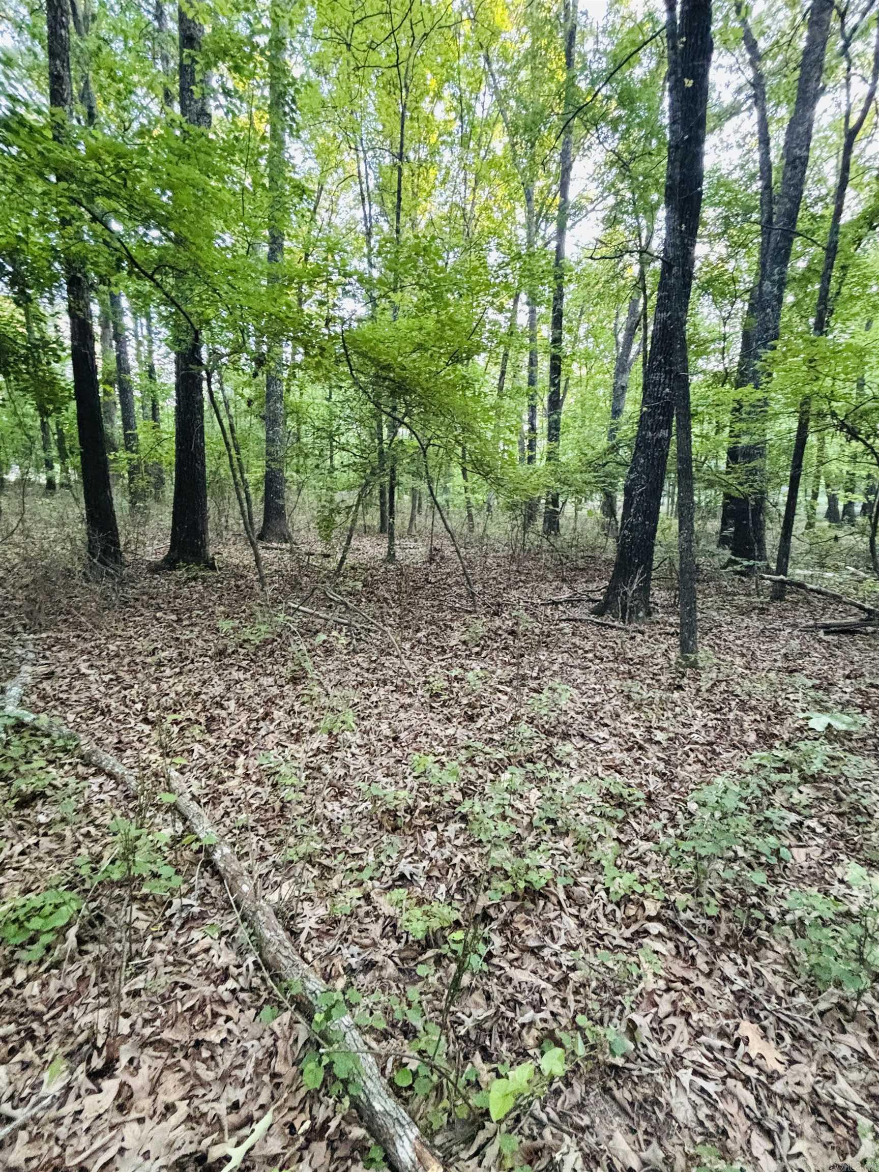 Lakeland Acres - Land