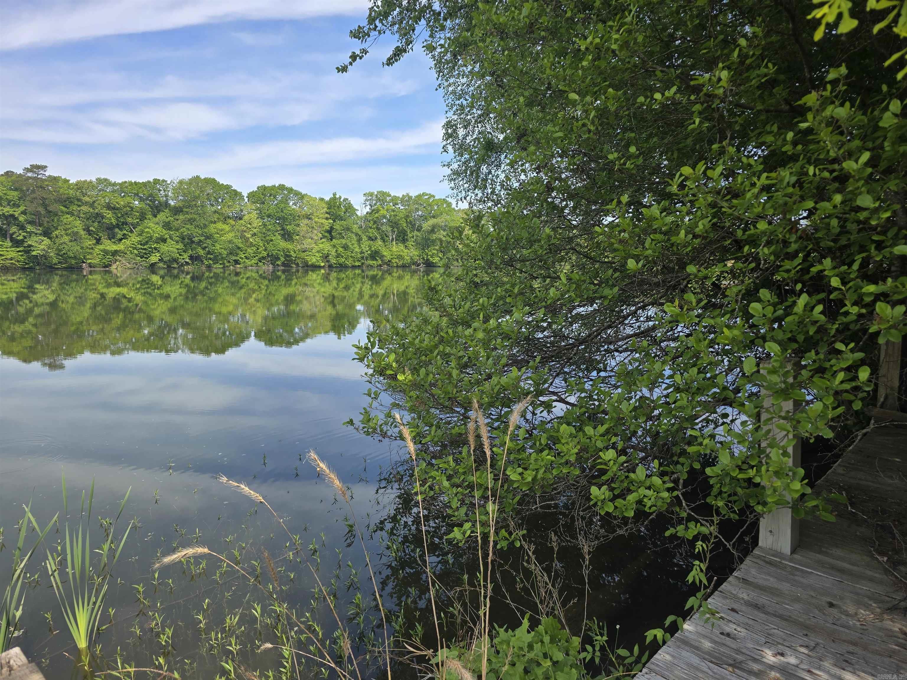 Mystic Shores - Land