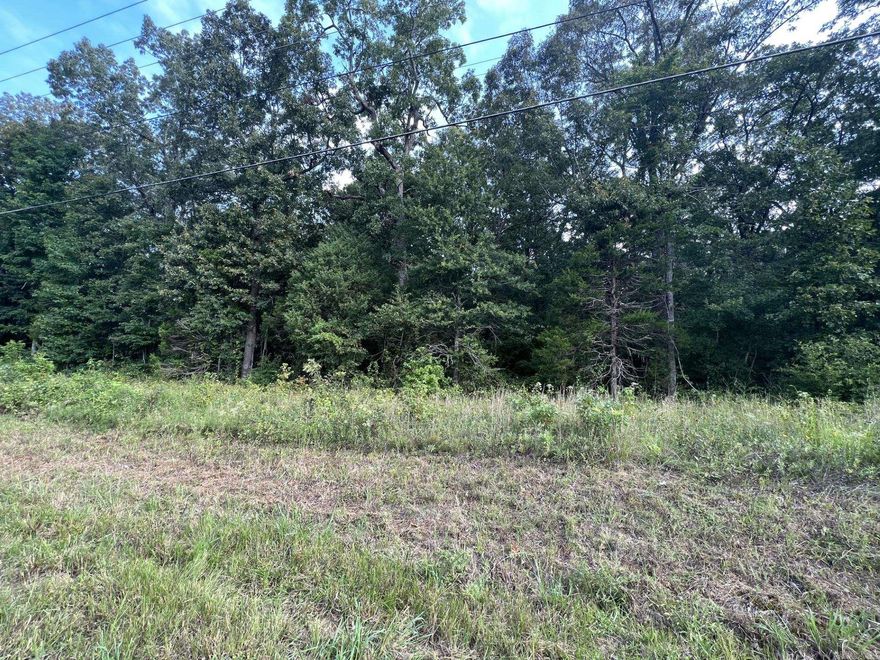 Escape to your own private wilderness on 10 acres of pristine wooded land just beyond the city limits. This untouched haven offers endless possibilities for your dream retreat or nature-inspired project. Embrace seclusion and tranquility while staying connected to city conveniences. Your woodland escape awaits!