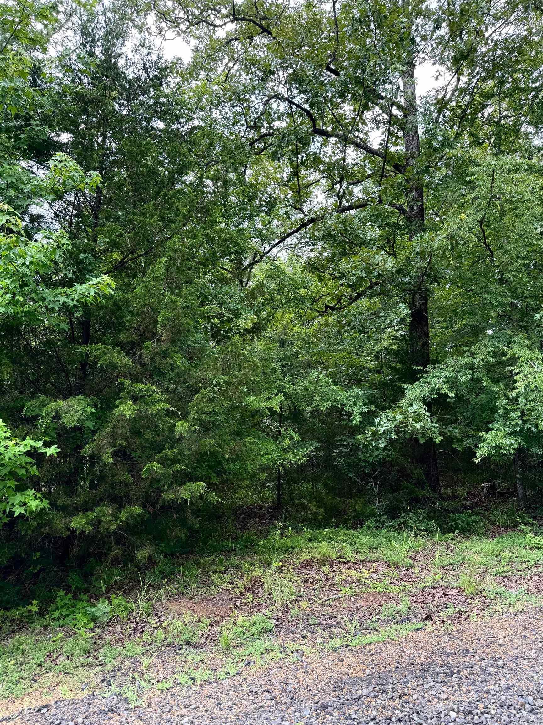 Are you dreaming of retreating to the beautiful Little Red River? This picturesque land is the perfect place to build your cozy dream home. Escape the hustle and enjoy a quiet community that offers a private community pool, boat ramp and dock on the Little Red River and minutes away from Greers Ferry Lake! This gated community offers modern amenities, access to hiking trails, boating, swimming and world-record trout fishing. Access to all the Natural State has to offer is only an offer away. Let us make your dream a reality! This beautiful lot even has a creek view!