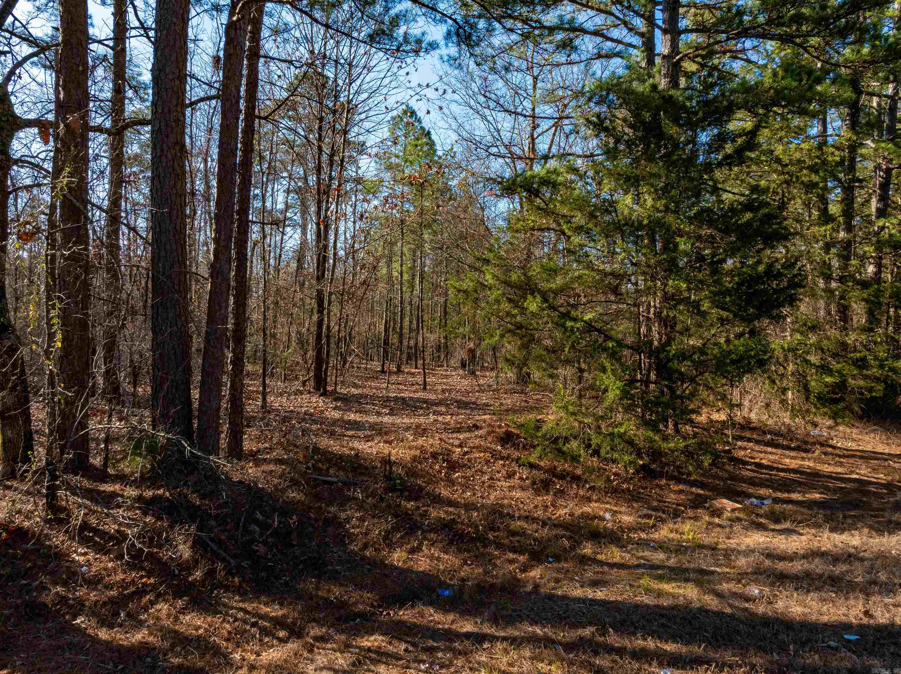 Fairfield Bay - Land