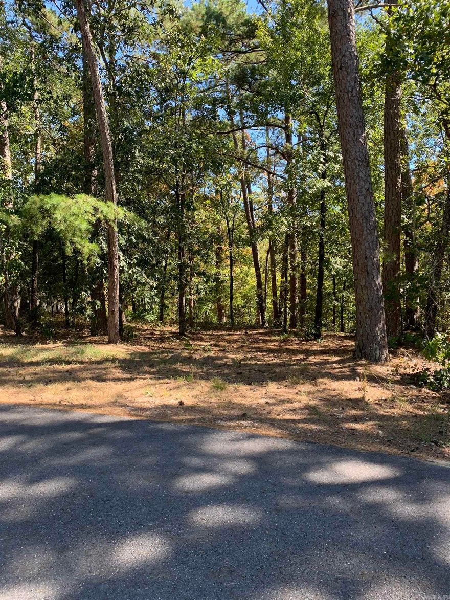 Beautiful building lot in Hot Springs Village located on Lake Pineda. Make this one yours and begin enjoying all the Village amenities. New buyers to the Village have a $300.00 buy in fee payable to the POA at closing.