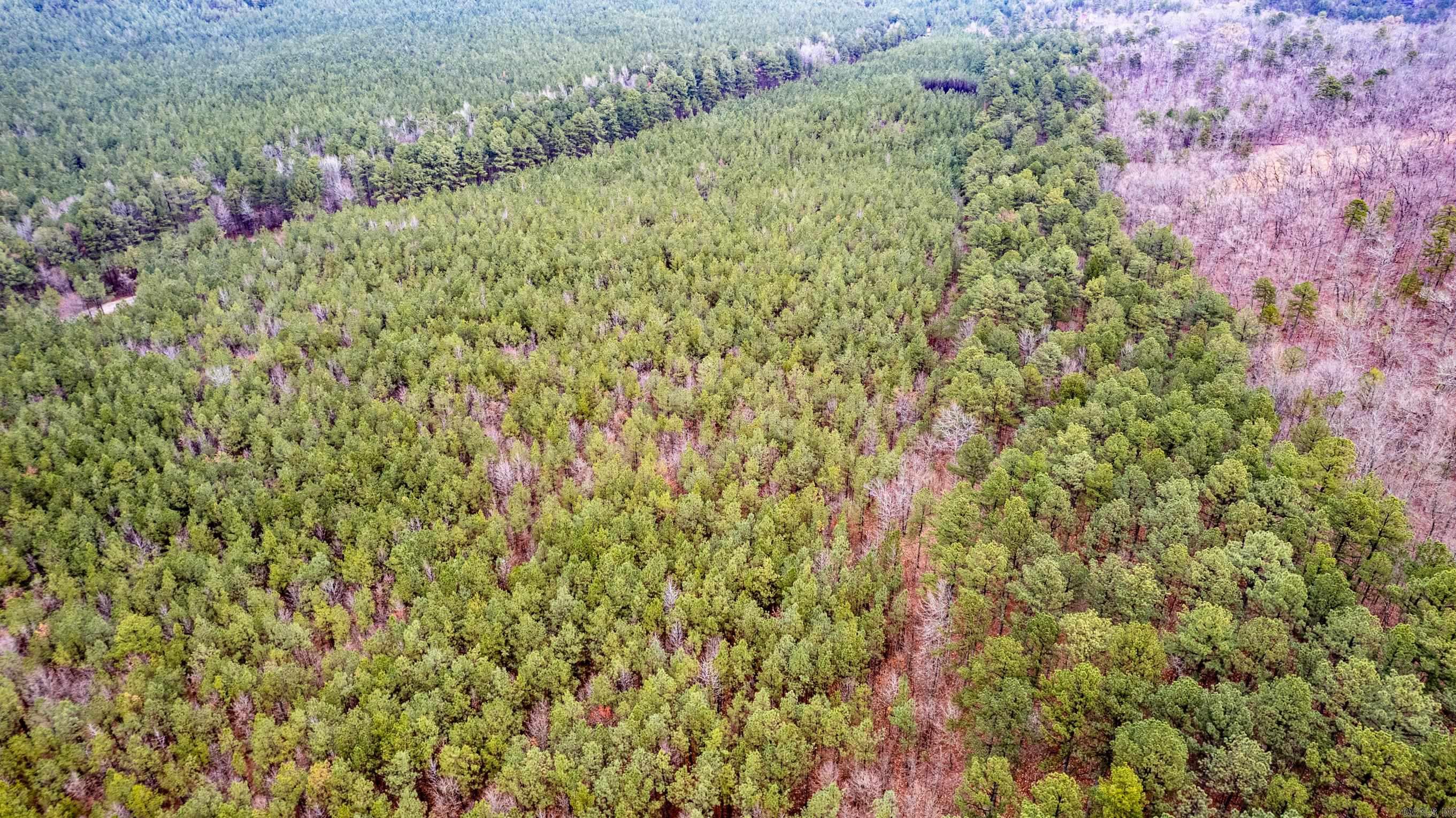 Peaceful Valley - Land