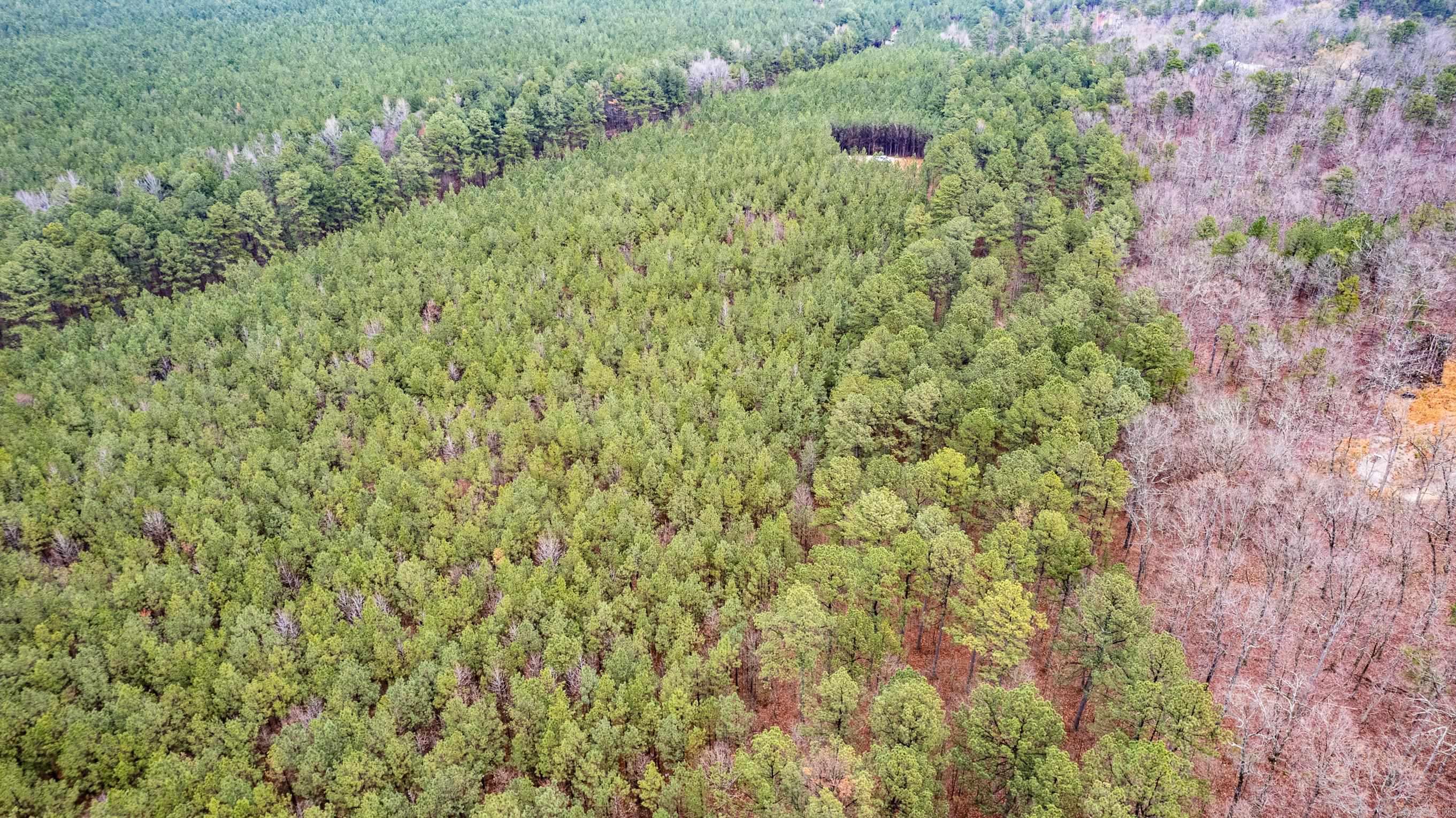 Peaceful Valley - Land