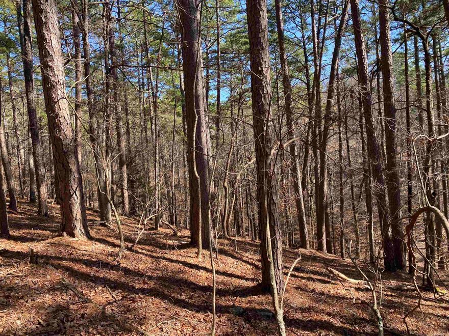 This wooded home lot would be a great spot for your lake cabin or new home! Approx. 4.34 acres covered in old forest growth AND backs up to the national forest! Have your privacy and be just minutes from Lake Ouachita, Mountain Harbor Resort and the marina.  Build your cabin back into the lot and be surrounded by the forest or build close to the street for quick, easy entry.  Lots of options on this property.  Call today and start making plans for your lake getaway!