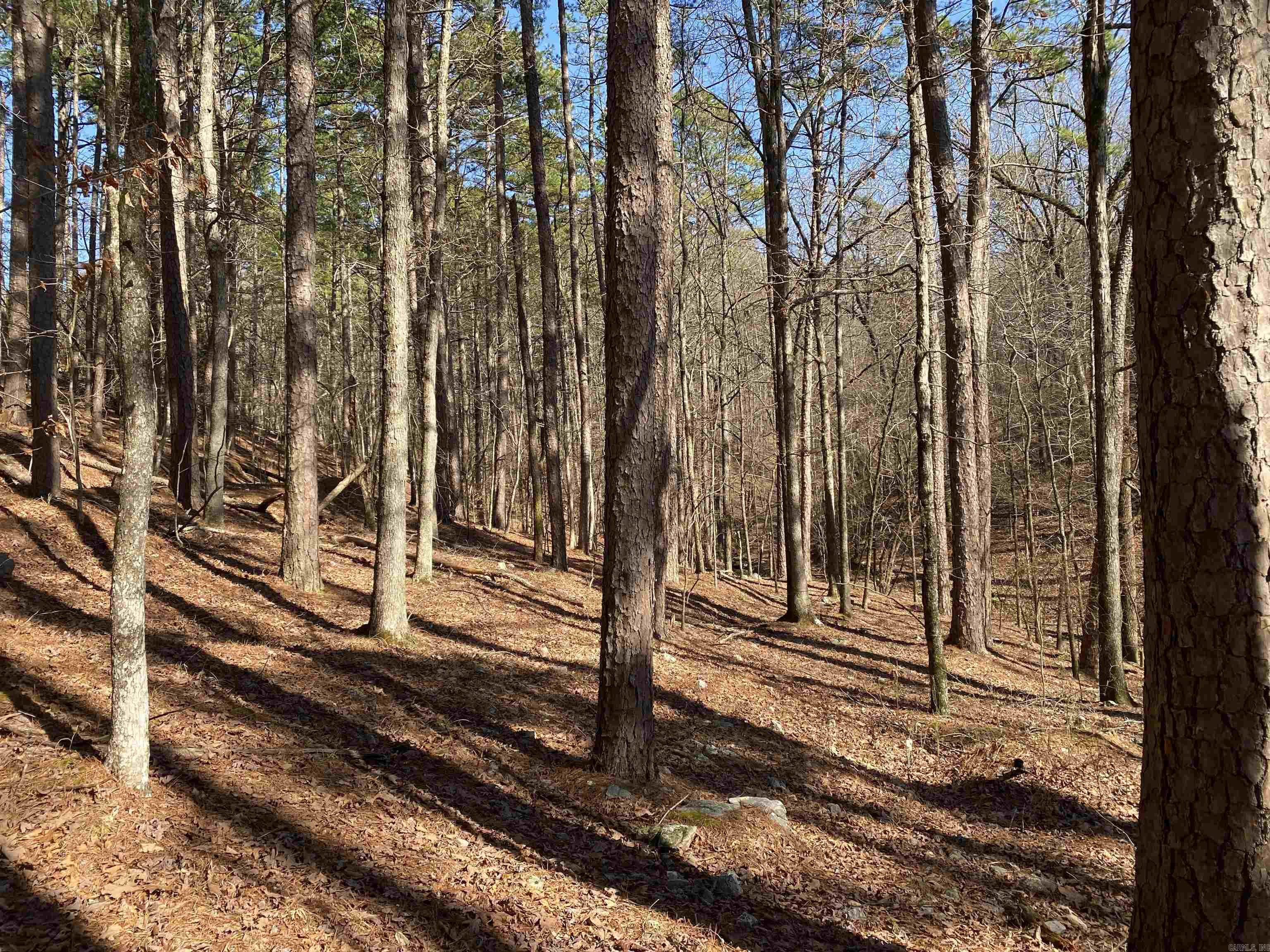 Hickory Nut Mountain Estates - Land