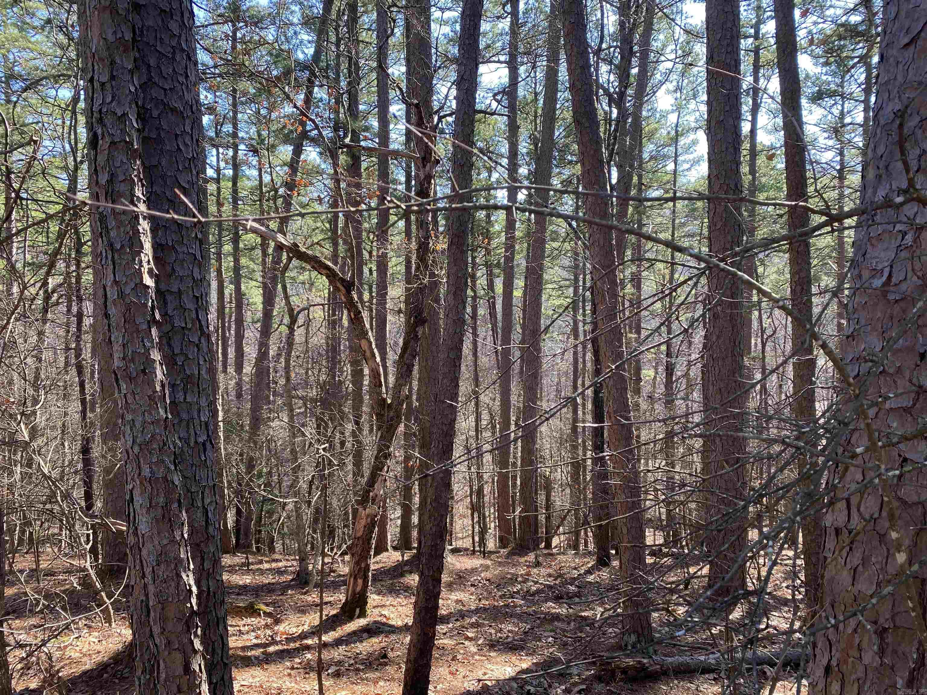 Hickory Nut Mountain Estates - Land