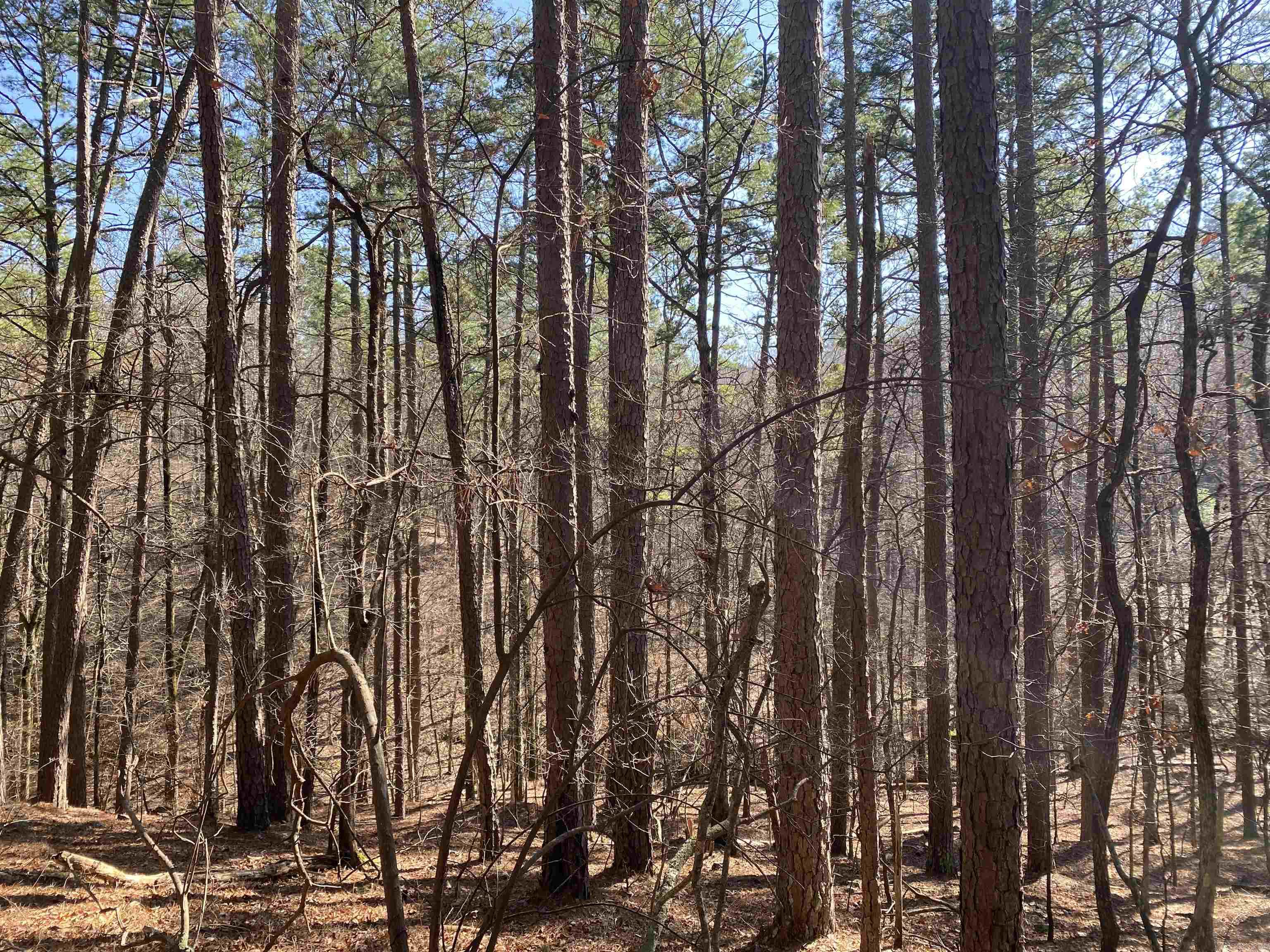 Hickory Nut Mountain Estates - Land