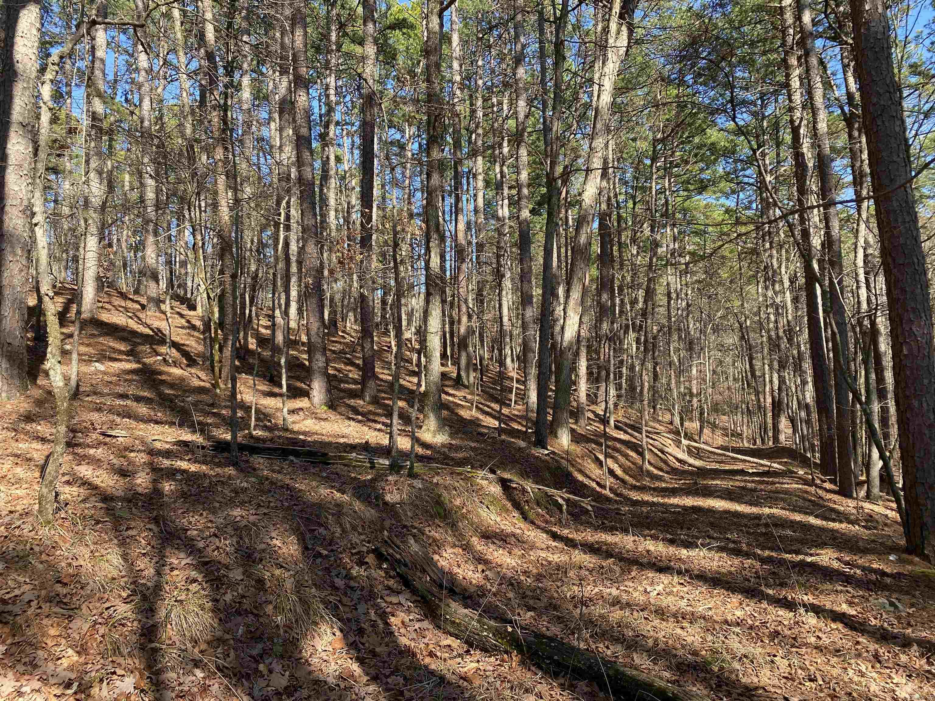 Hickory Nut Mountain Estates - Land