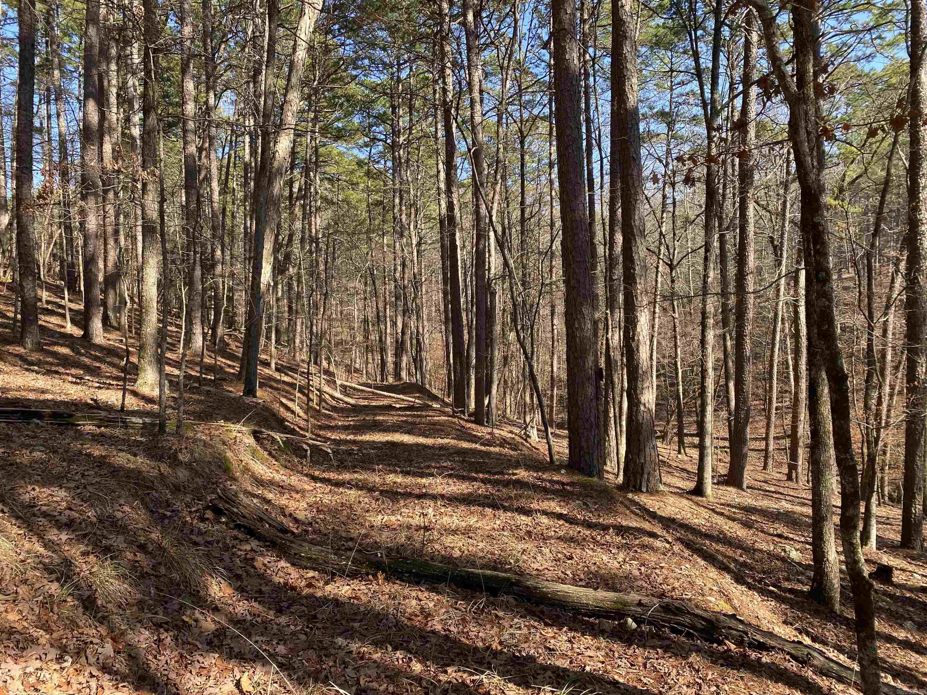 Hickory Nut Mountain Estates - Land
