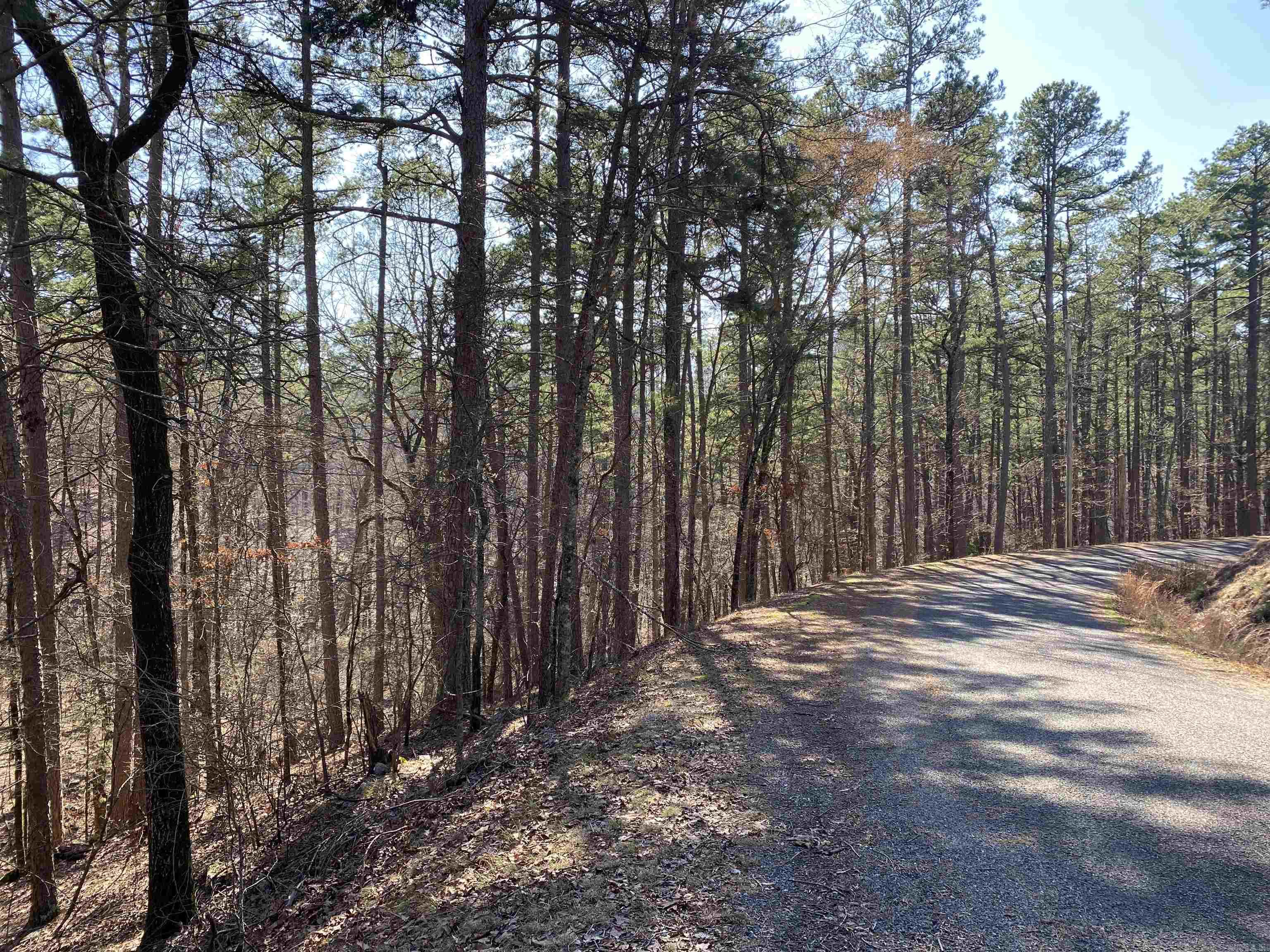 Hickory Nut Mountain Estates - Land