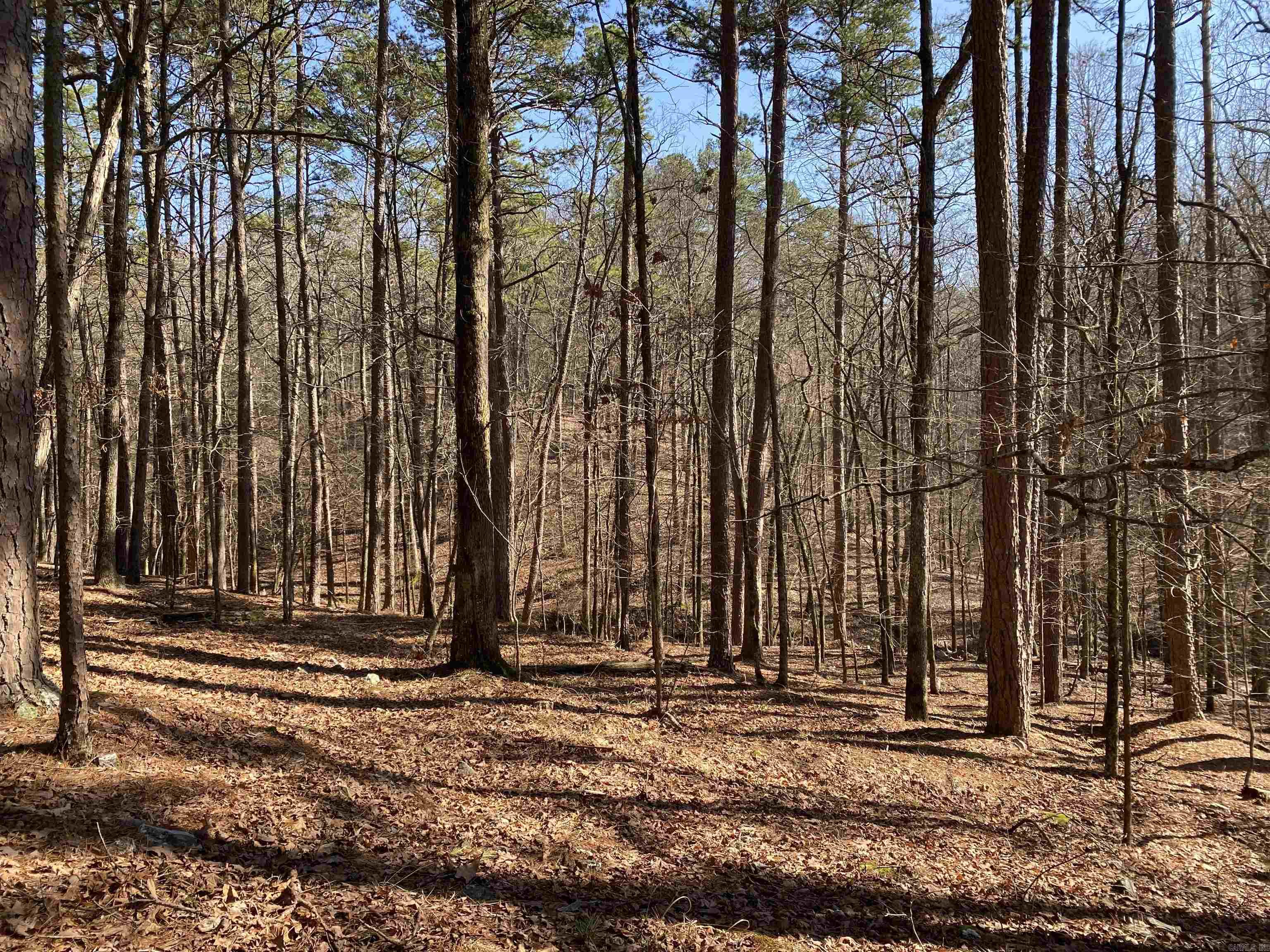 Hickory Nut Mountain Estates - Land