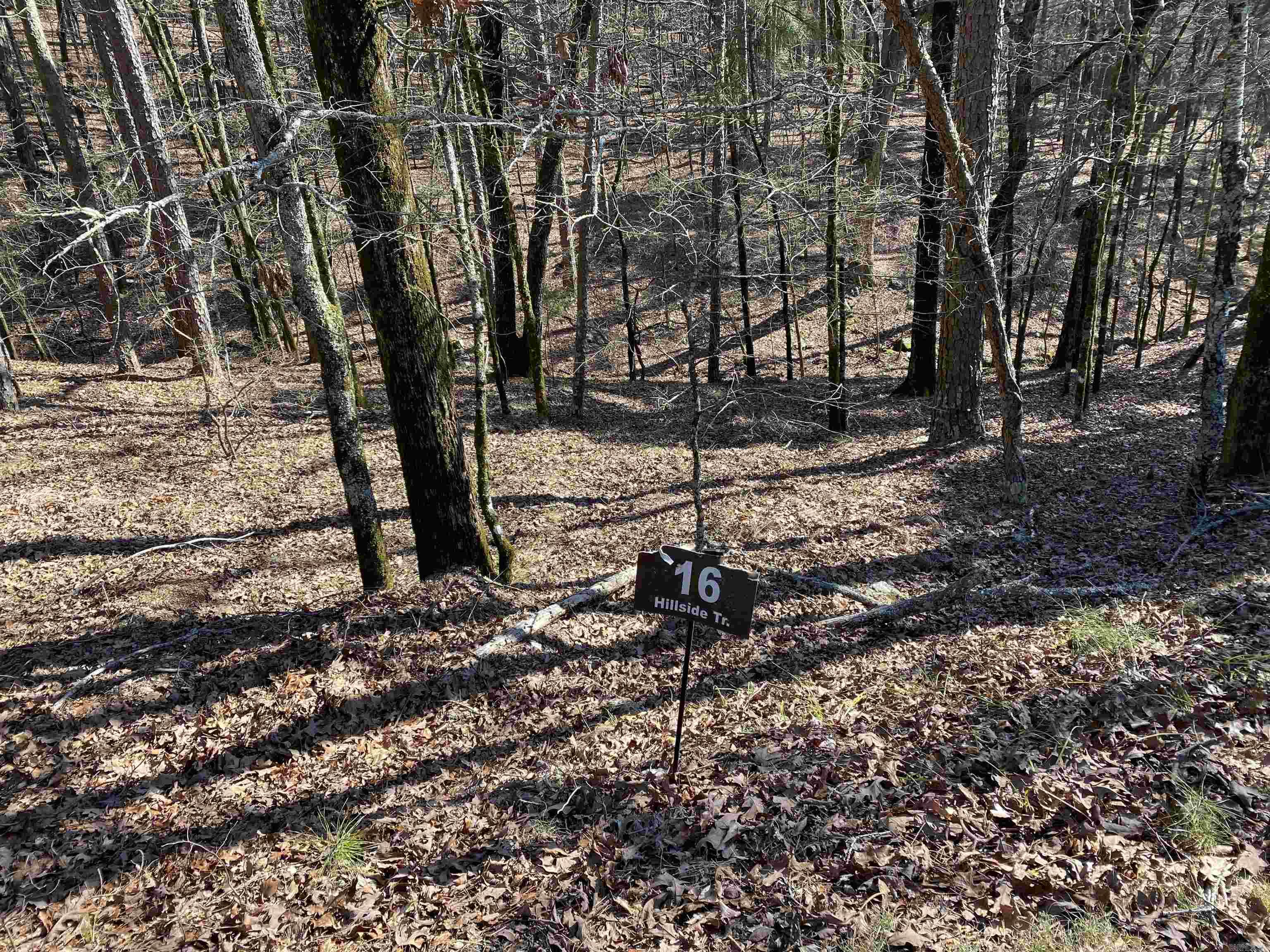 Hickory Nut Mountain Estates - Land