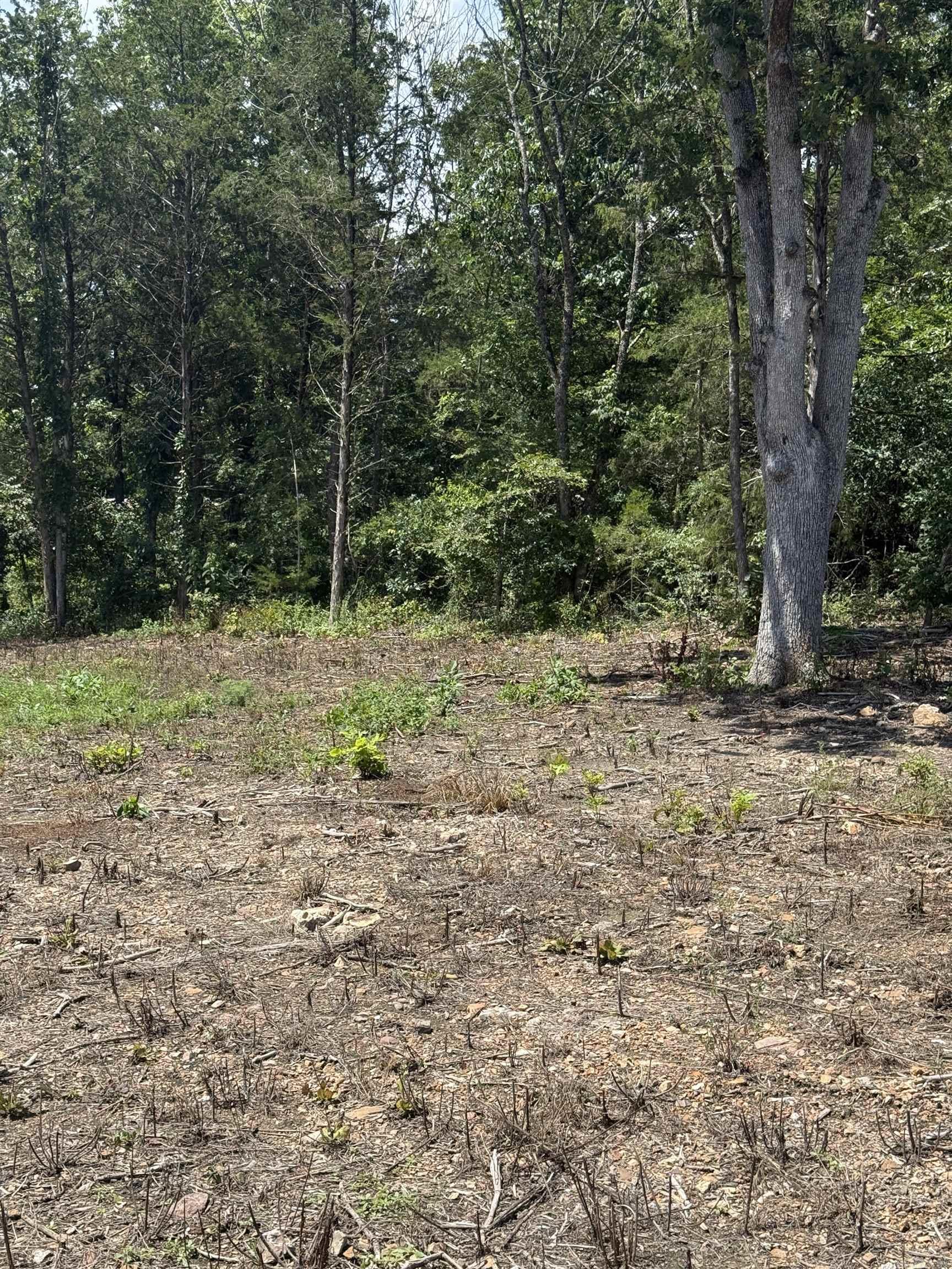 Not in Subdivision - Land