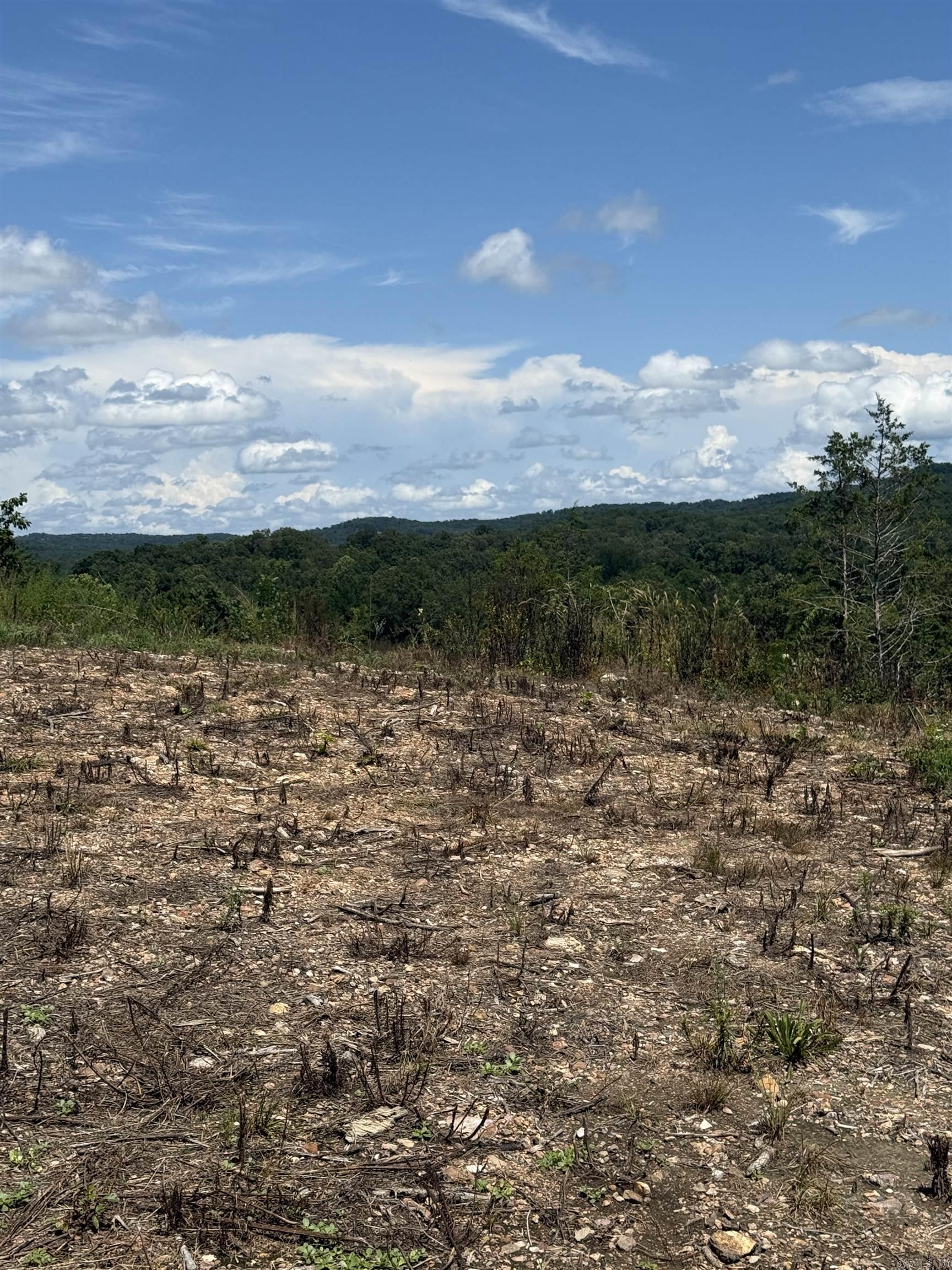 Prime building lot (Lot 29) overlooking the Norfork river, city water available, located within the city limits of Norfork, less than ! mile from downtown Norfork, located just below the AGFC Norfork Overlook.Lot 28 is listed separately but could be purchased with this lot. no mobiles, building restrictions apply.