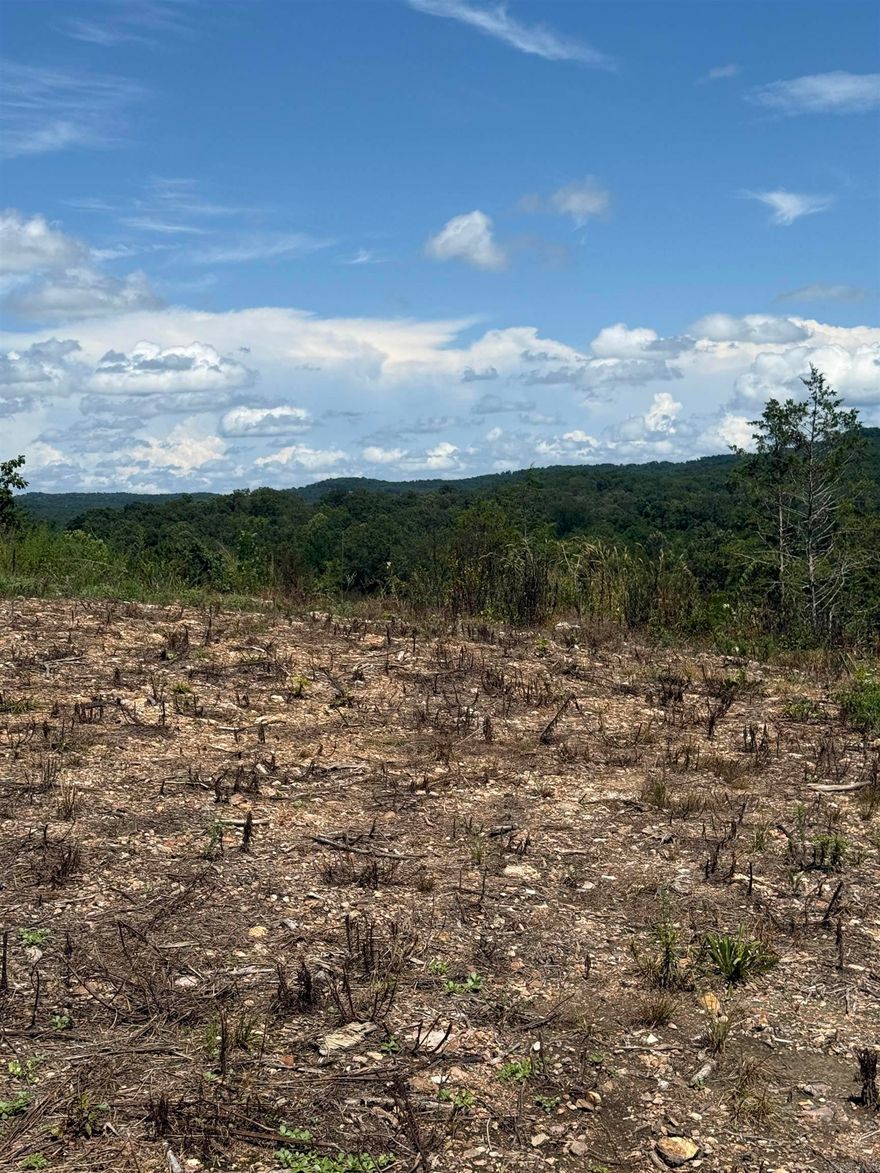 Prime building lot (Lot 29) overlooking the Norfork river, city water available, located within the city limits of Norfork, less than ! mile from downtown Norfork, located just below the AGFC Norfork Overlook.Lot 28 is listed separately but could be purchased with this lot. no mobiles, building restrictions apply.