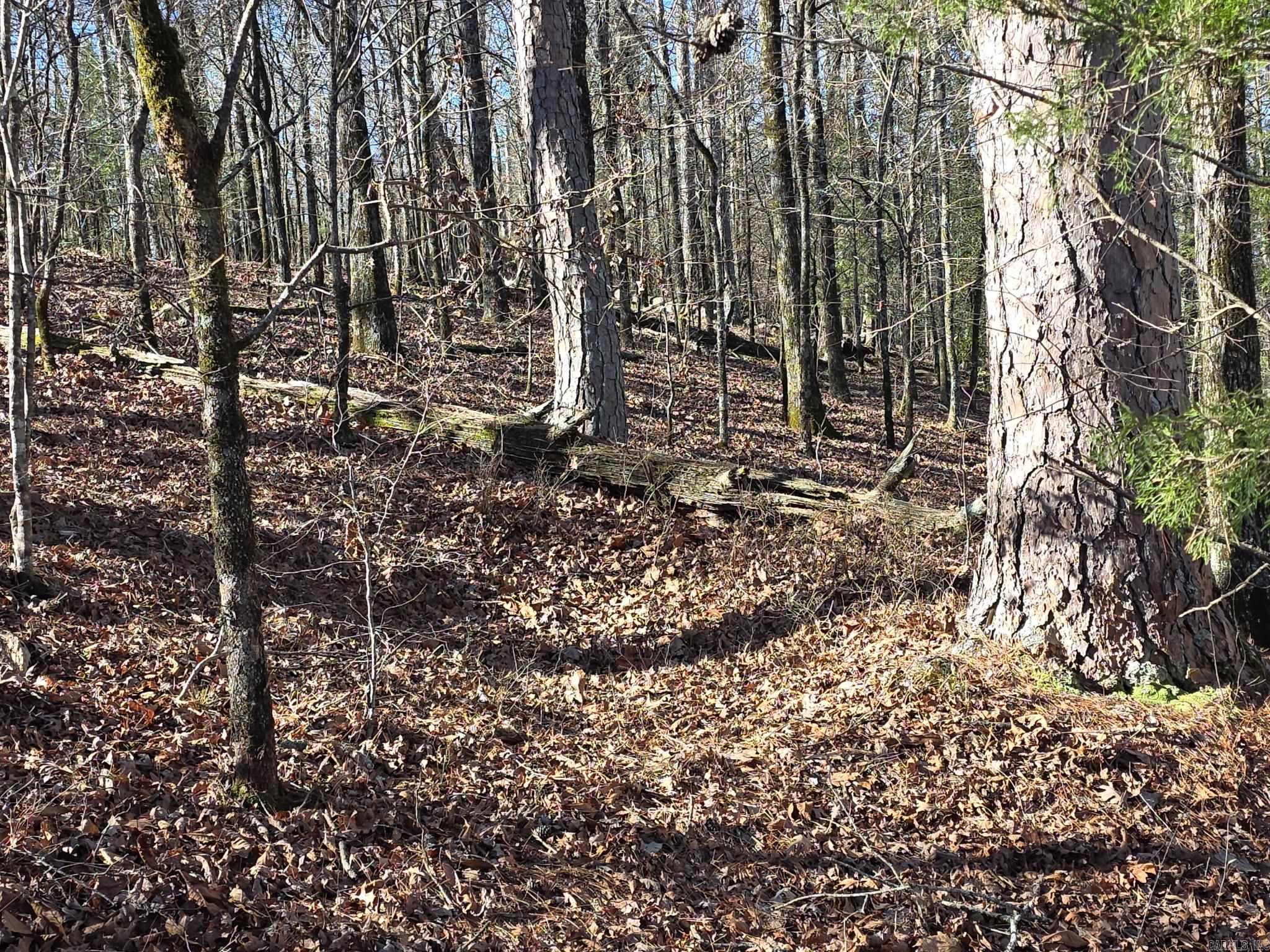 Metes & Bounds - Land