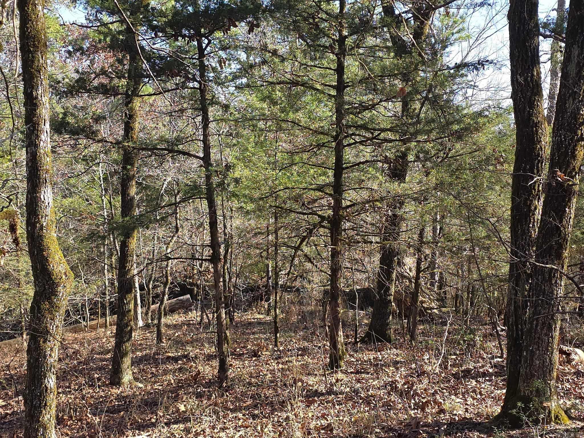 Metes & Bounds - Land