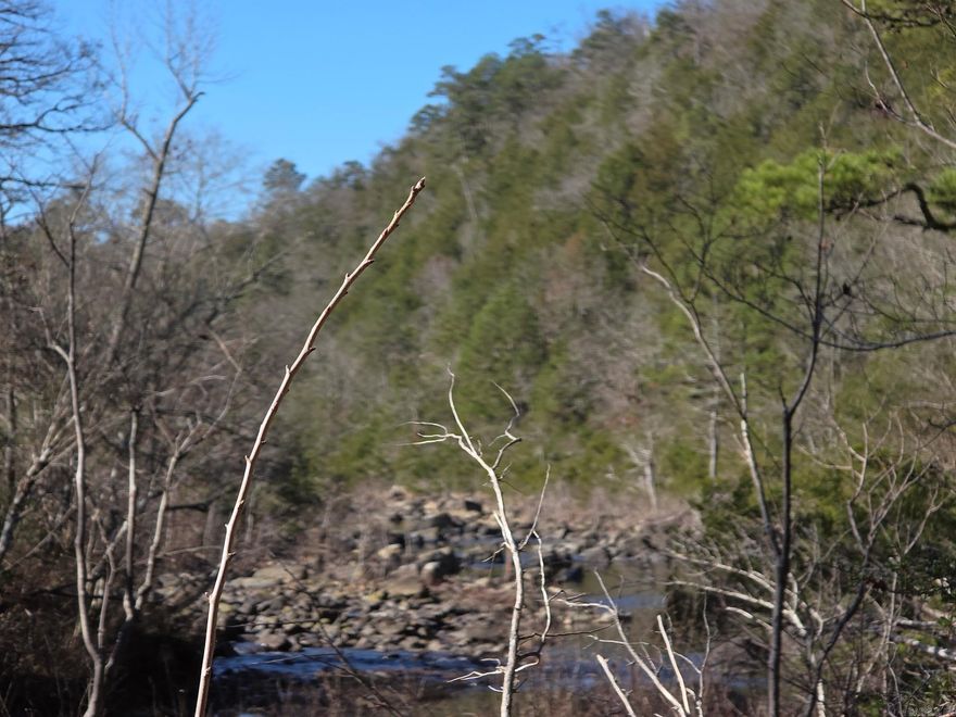 When things are very rare the price reflects it. This property has not been commercially logged leaving the ecosystem and rare beauty in tact. With more than 1/2 mile of Robinson Fork creek/river running through it and the rarity of this type of property, can be have your own trophy property.  Only 4 owners since it was patented!  Some of the trees were alive when Arkansas became a state! It is covered with large old timber and 100 ft. canopies.  There is permanent transferable access included plus documentation of it's uniqueness.