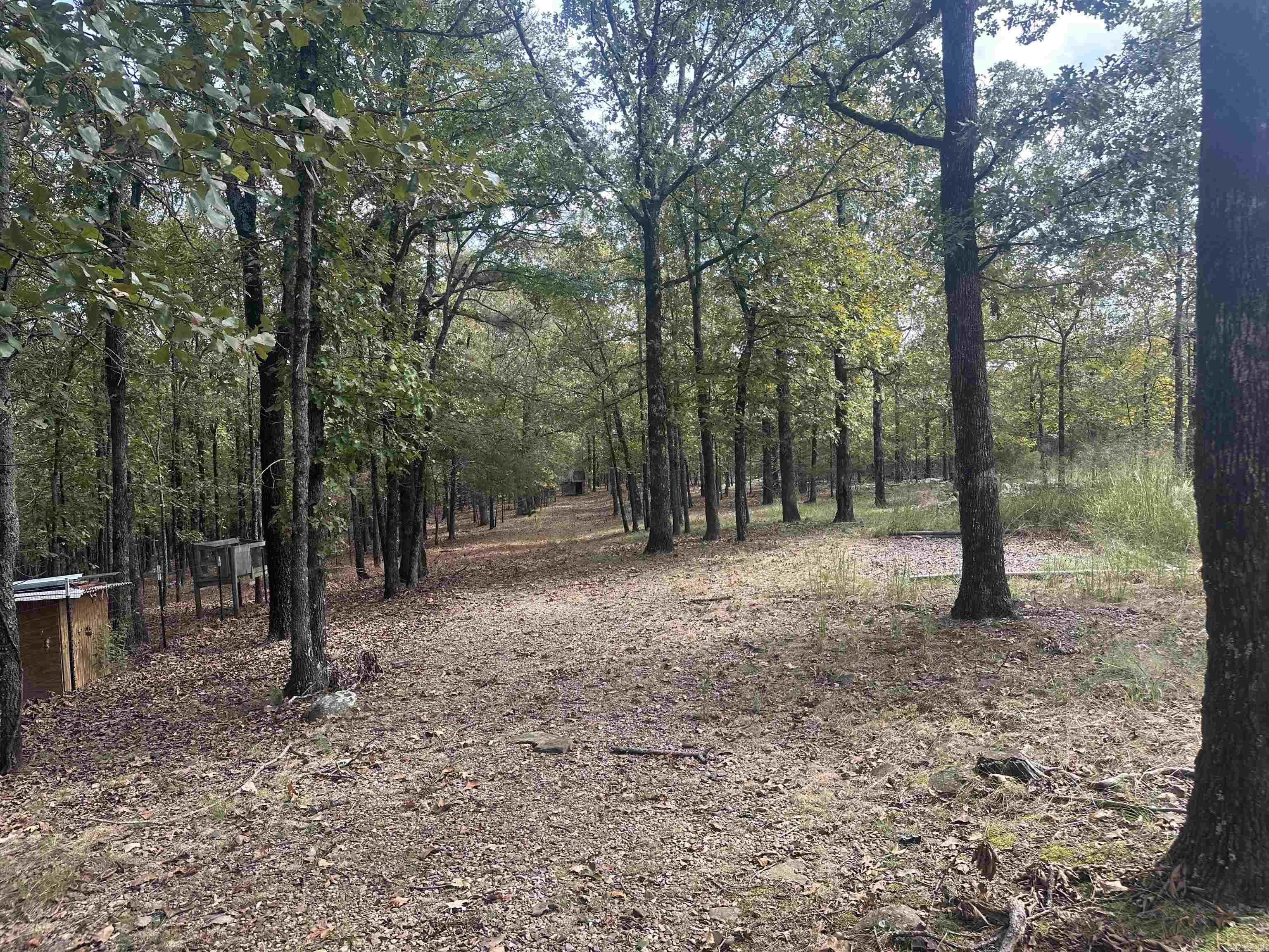 AUSTIN CITY AREA - Residential