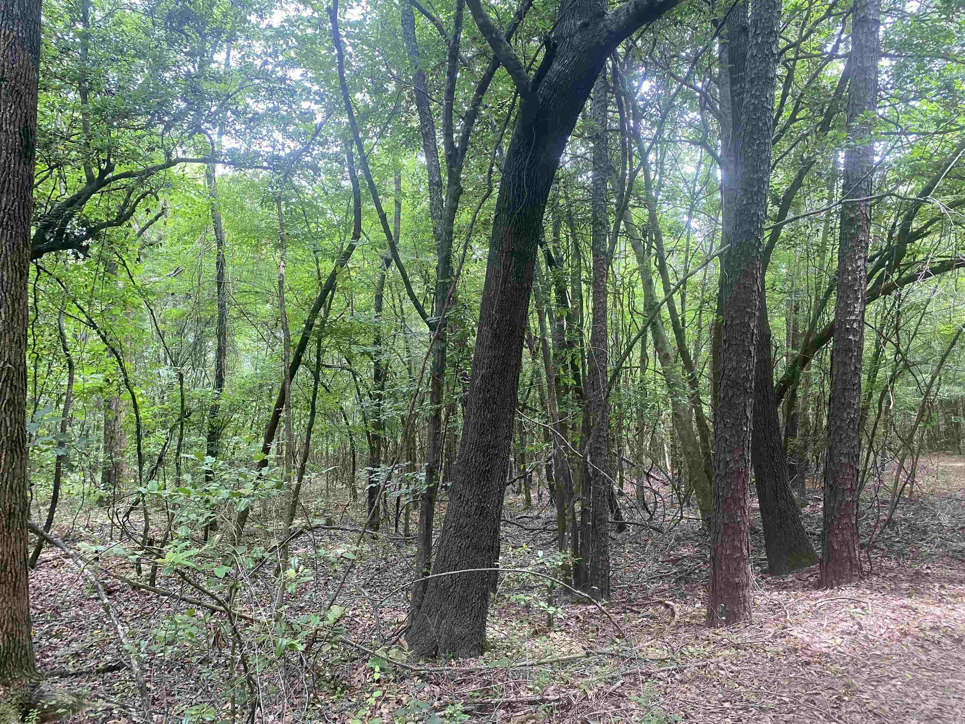 Not in Subdivision - Land