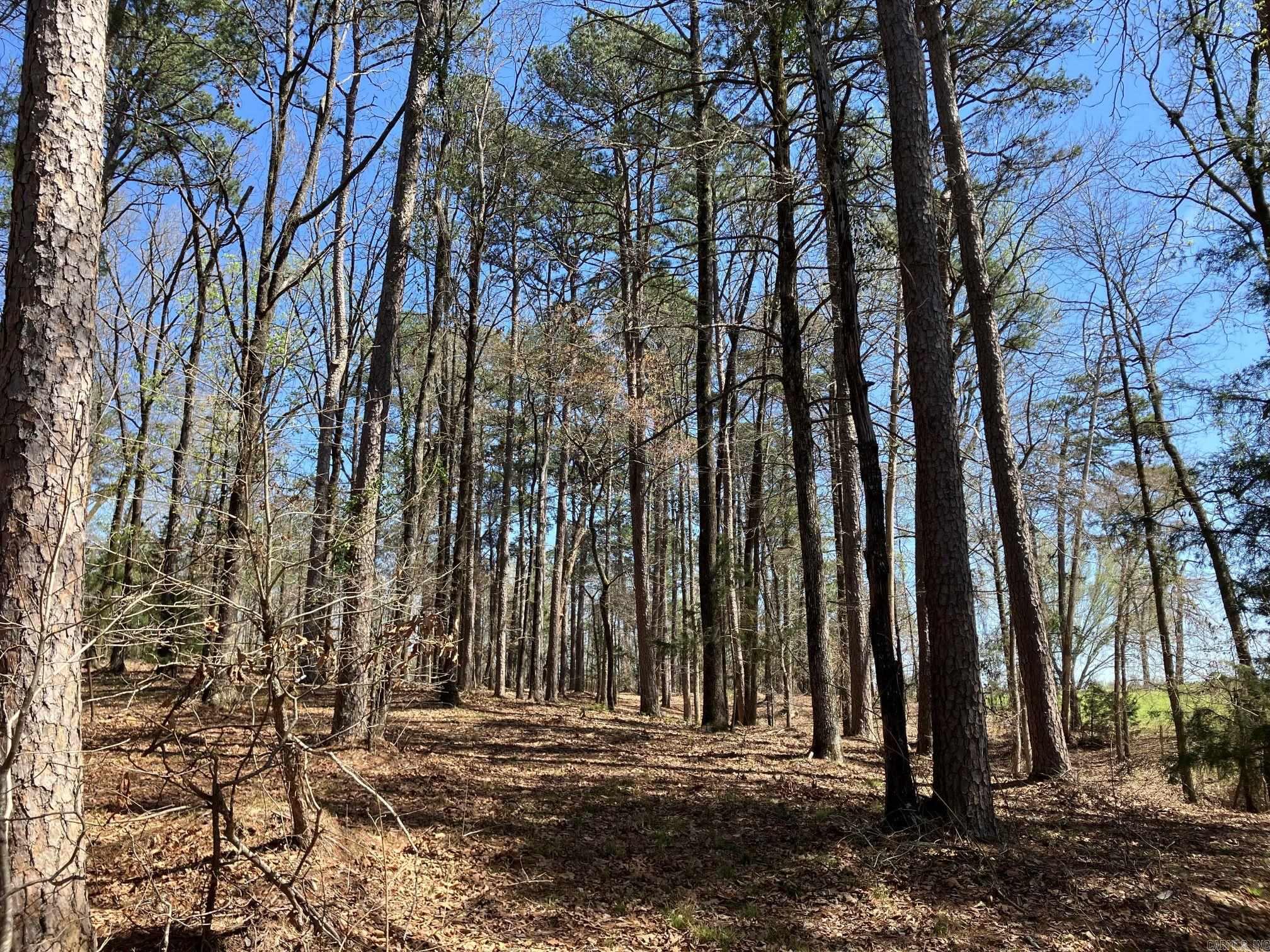 Rolling Fork - Residential