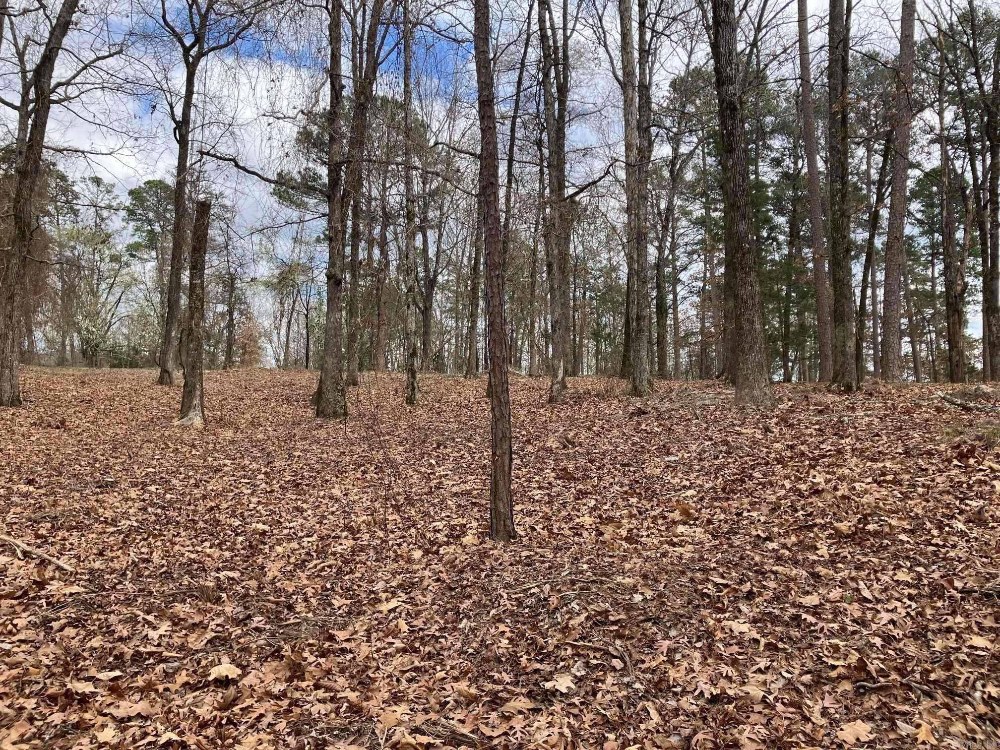 Rolling Fork - Residential