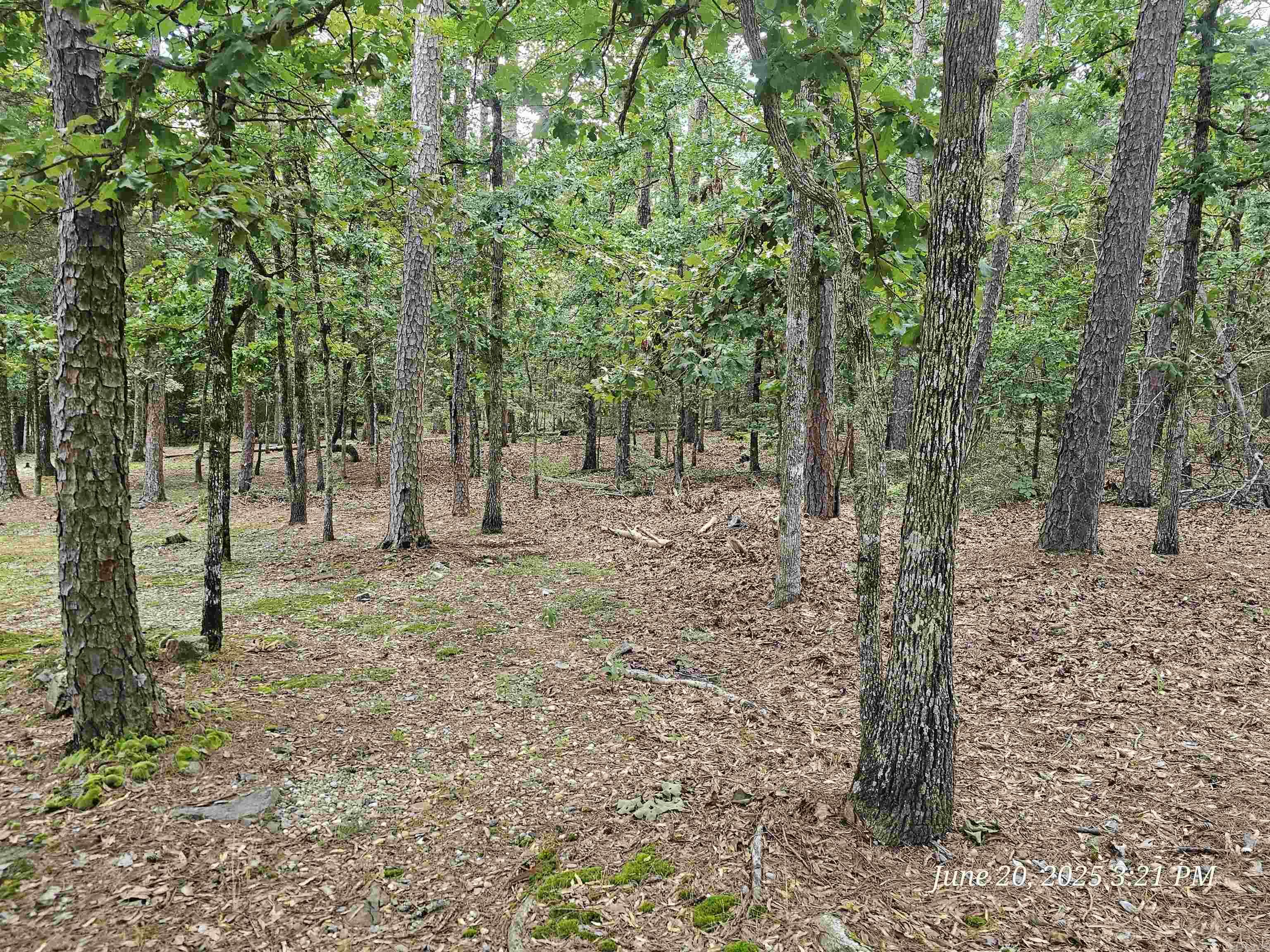 Nice level lot on the east side of HSV with utilities present. There is a $300 buy-in fee for new members to HSV on improved lots that's collected at closing.